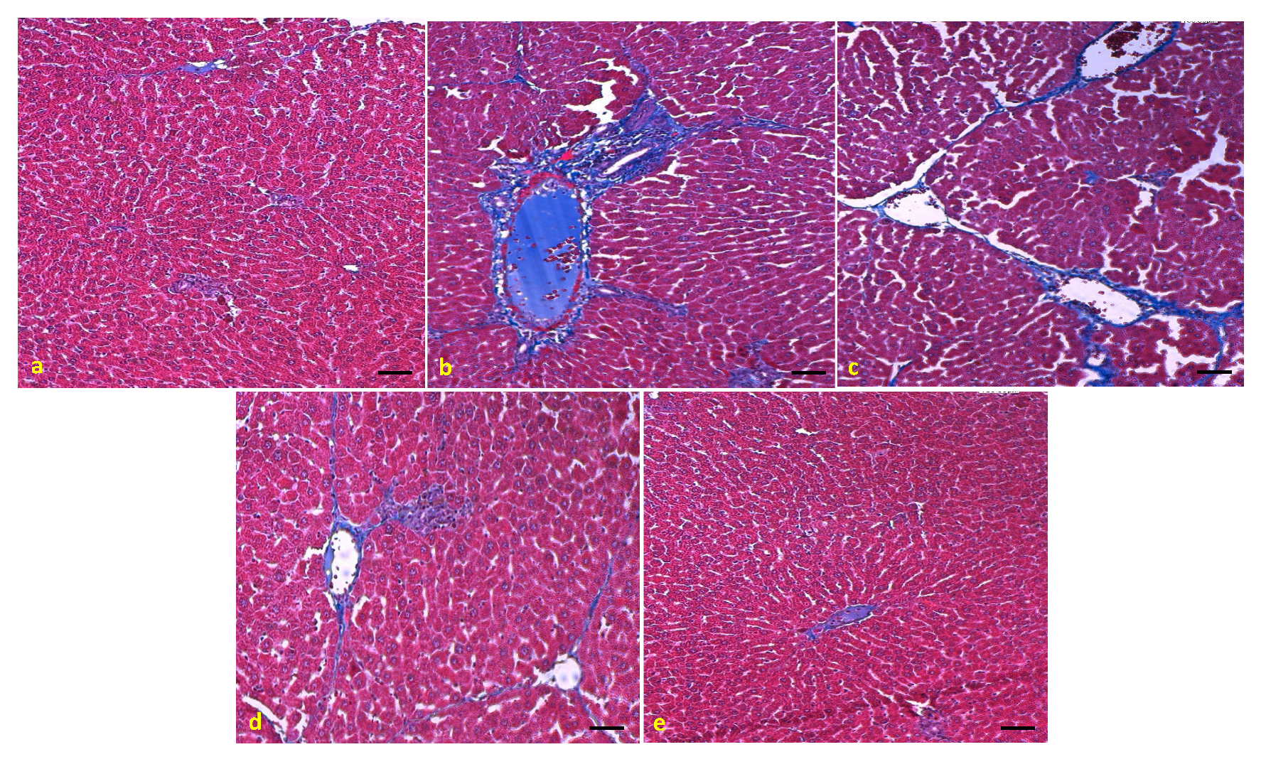 Applsci 10 06200 g012