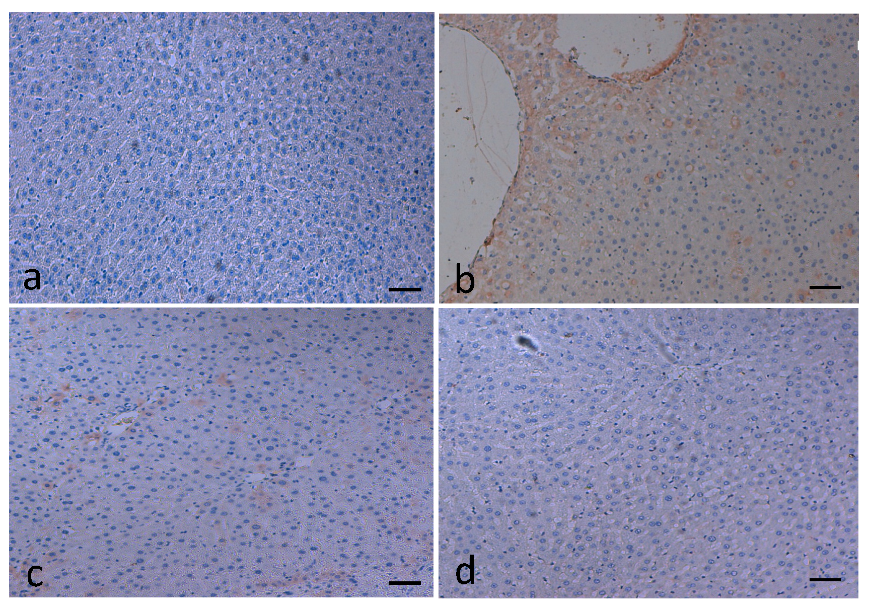 Applsci 10 06200 g013