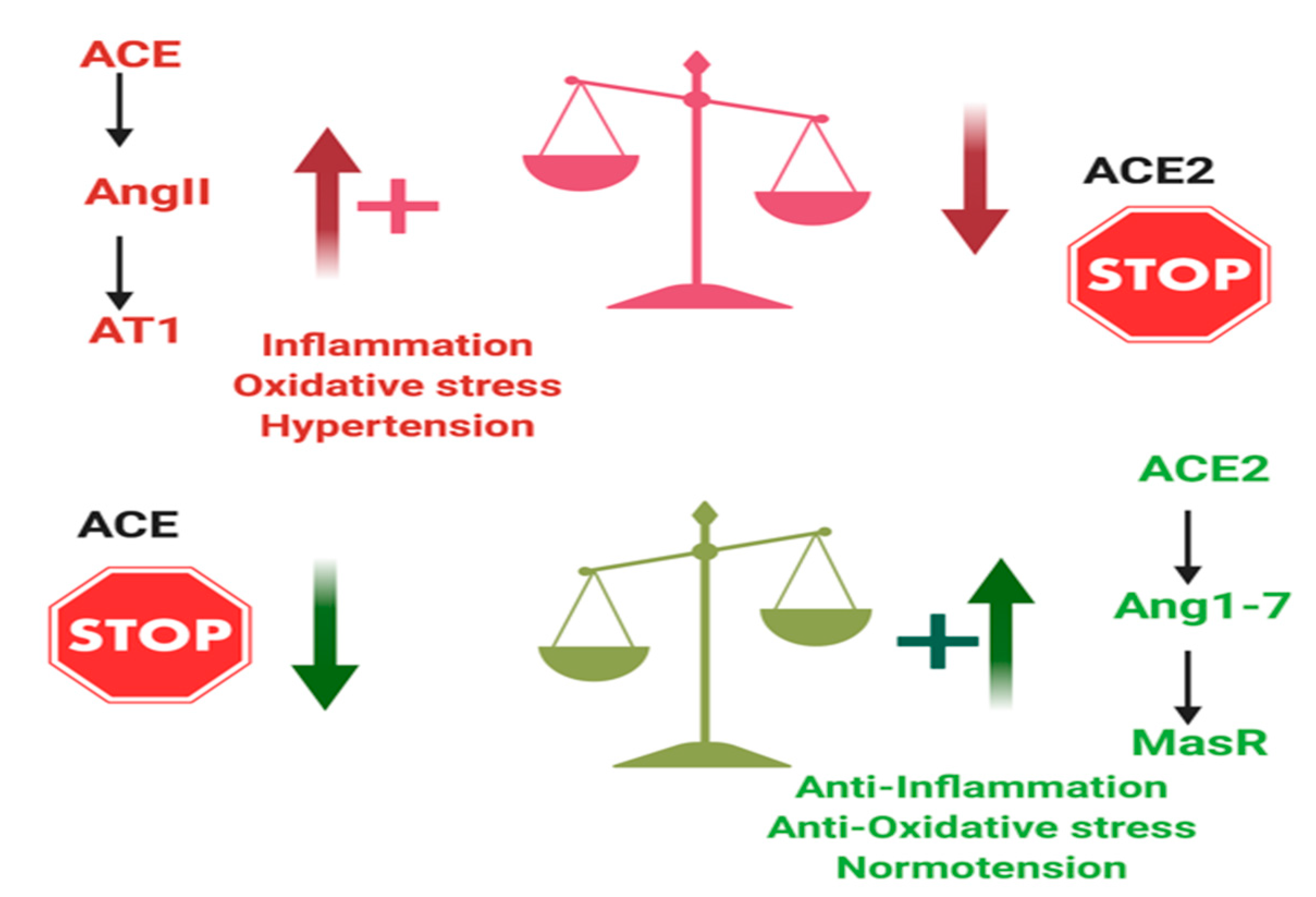 Applsci 10 06224 g001