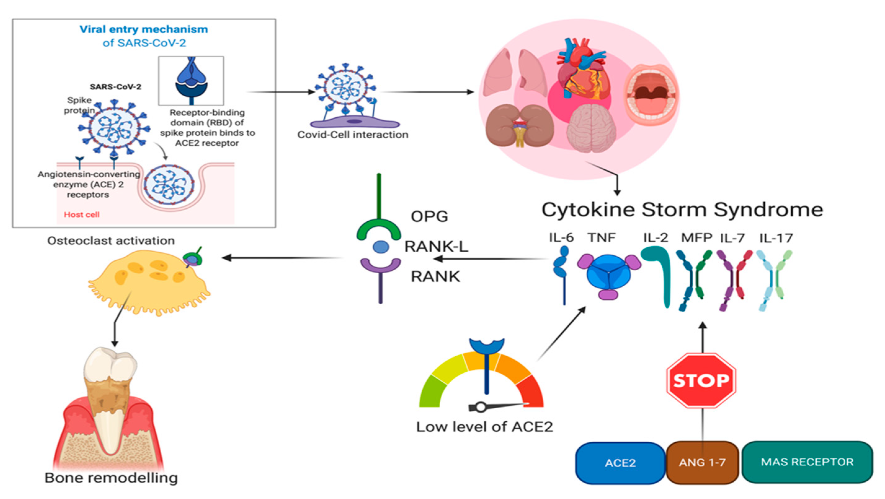Applsci 10 06224 g003