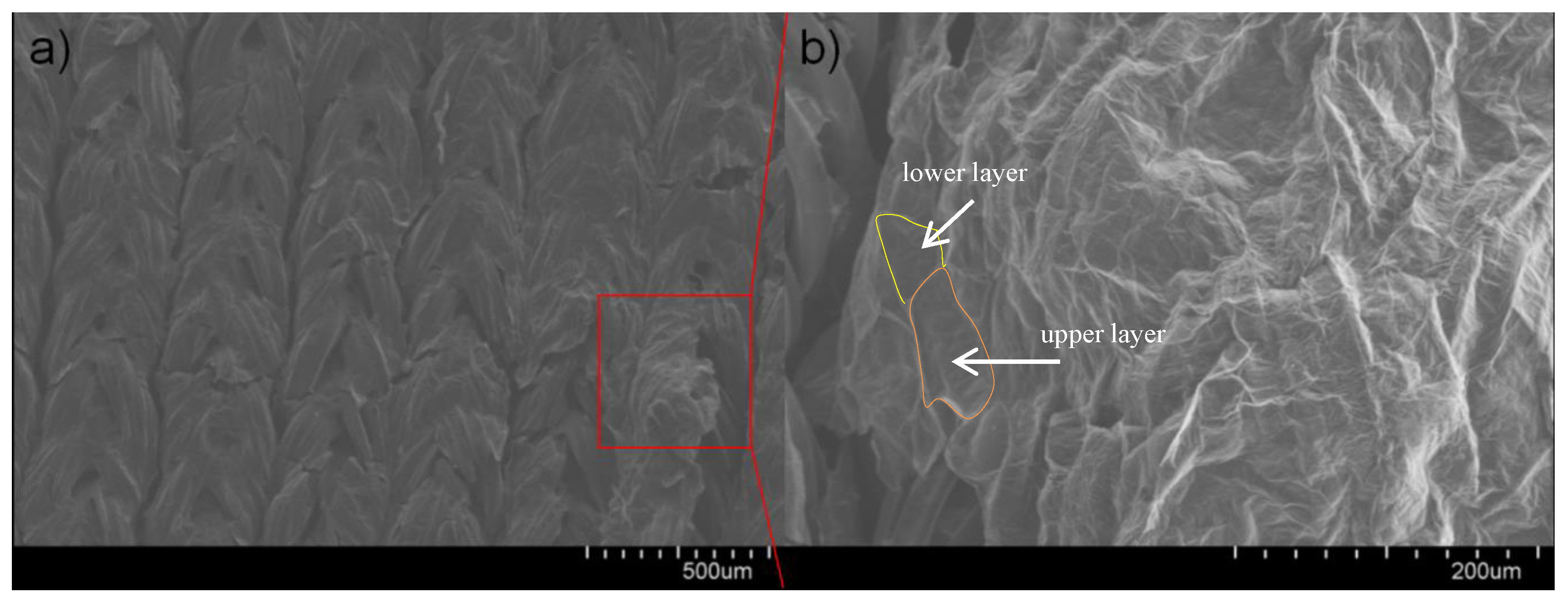 Applsci 10 06230 g002
