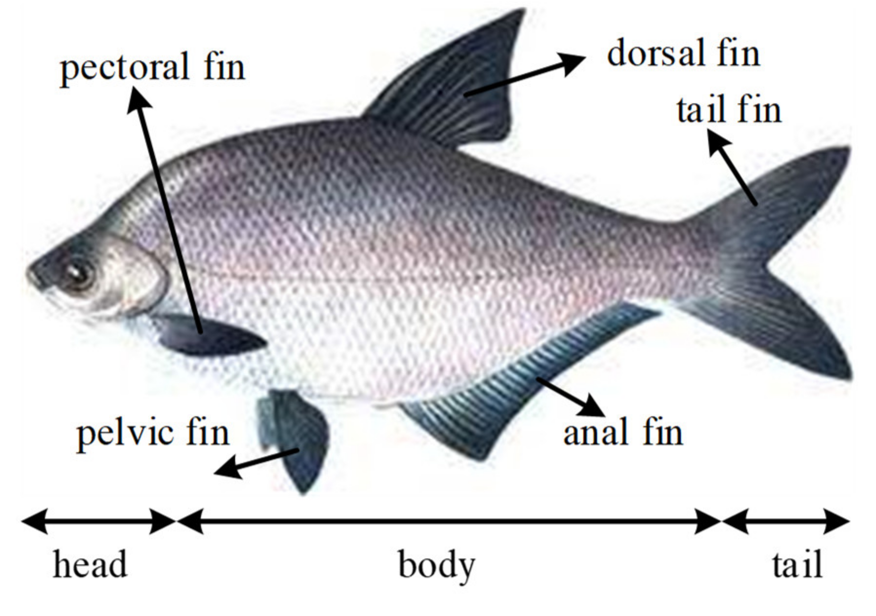 Applsci 10 06237 g006 Applsci 10 06237 g006