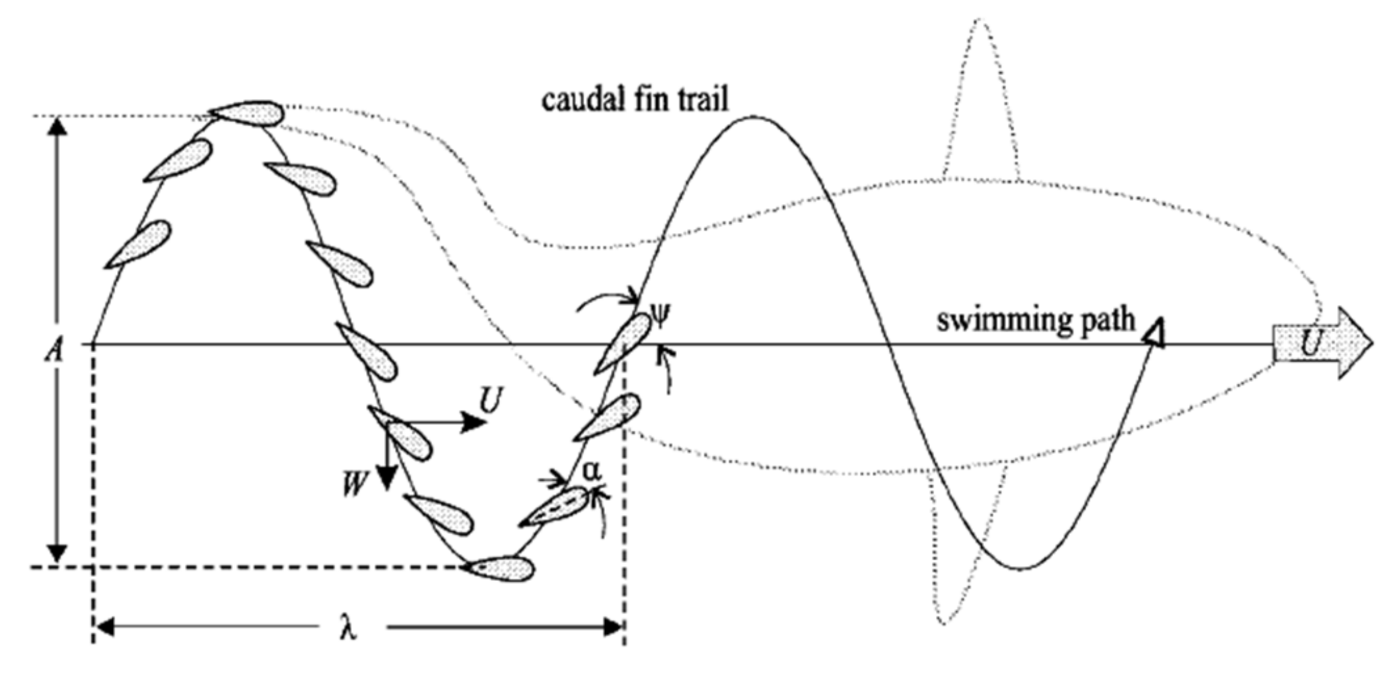 Applsci 10 06237 g007 Applsci 10 06237 g007