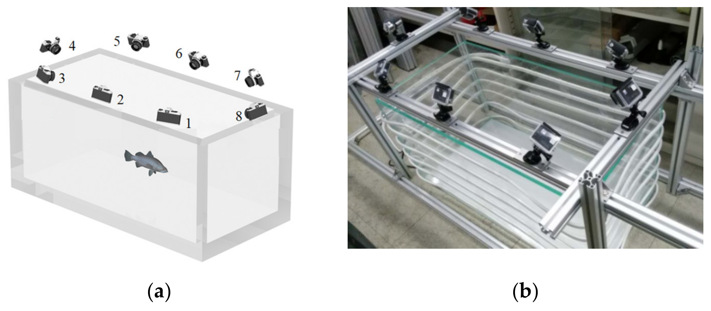 Applsci 10 06237 g010 Applsci 10 06237 g010