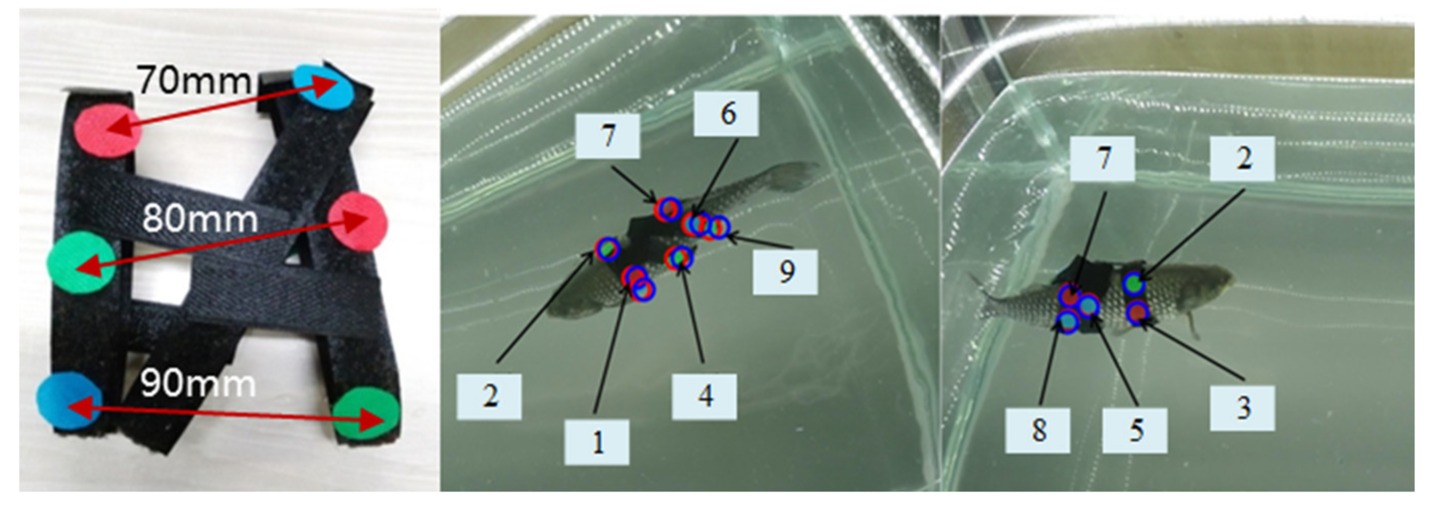 Applsci 10 06237 g017 Applsci 10 06237 g017