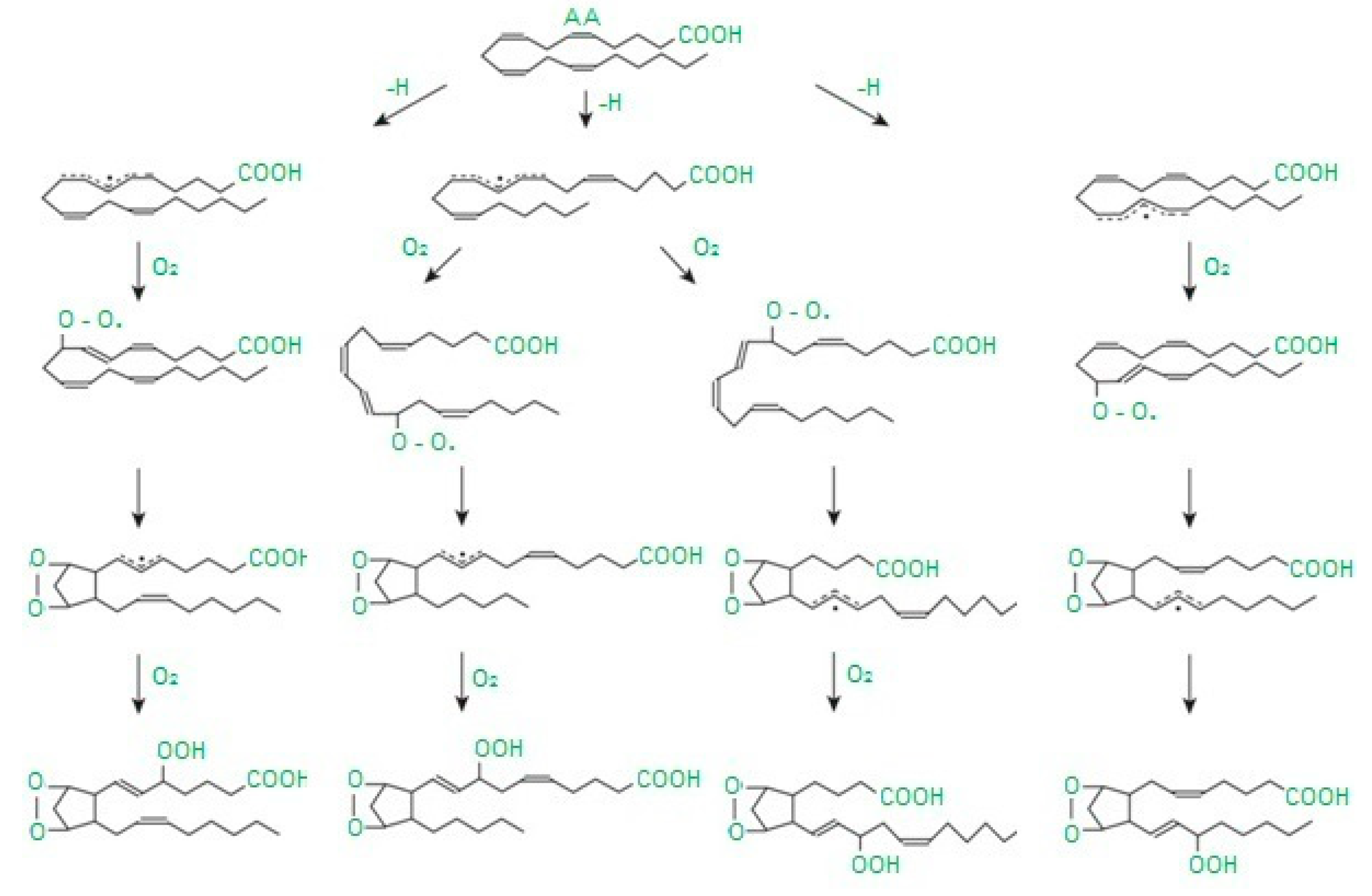 Applsci 10 06240 g002