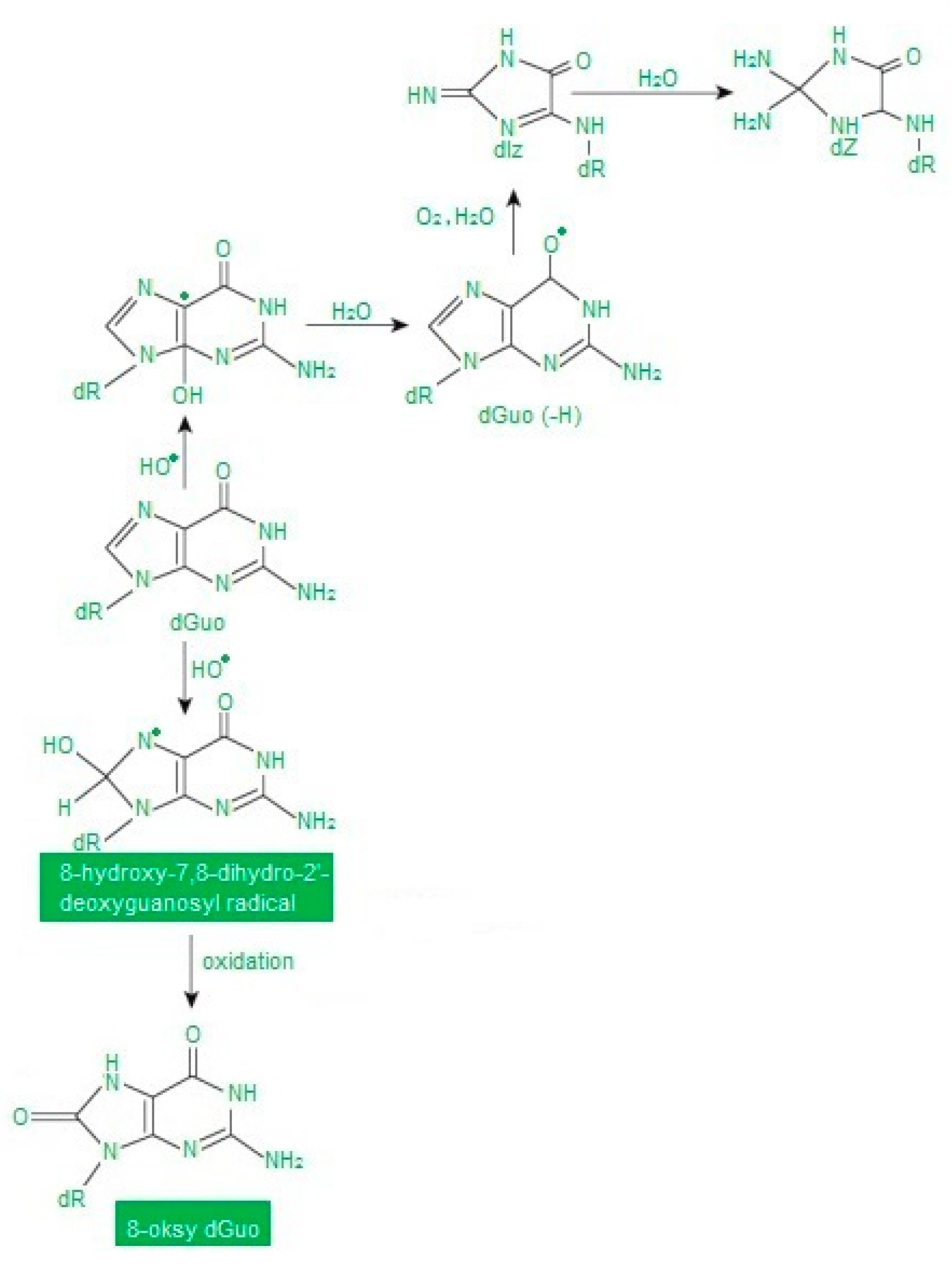 Applsci 10 06240 g004