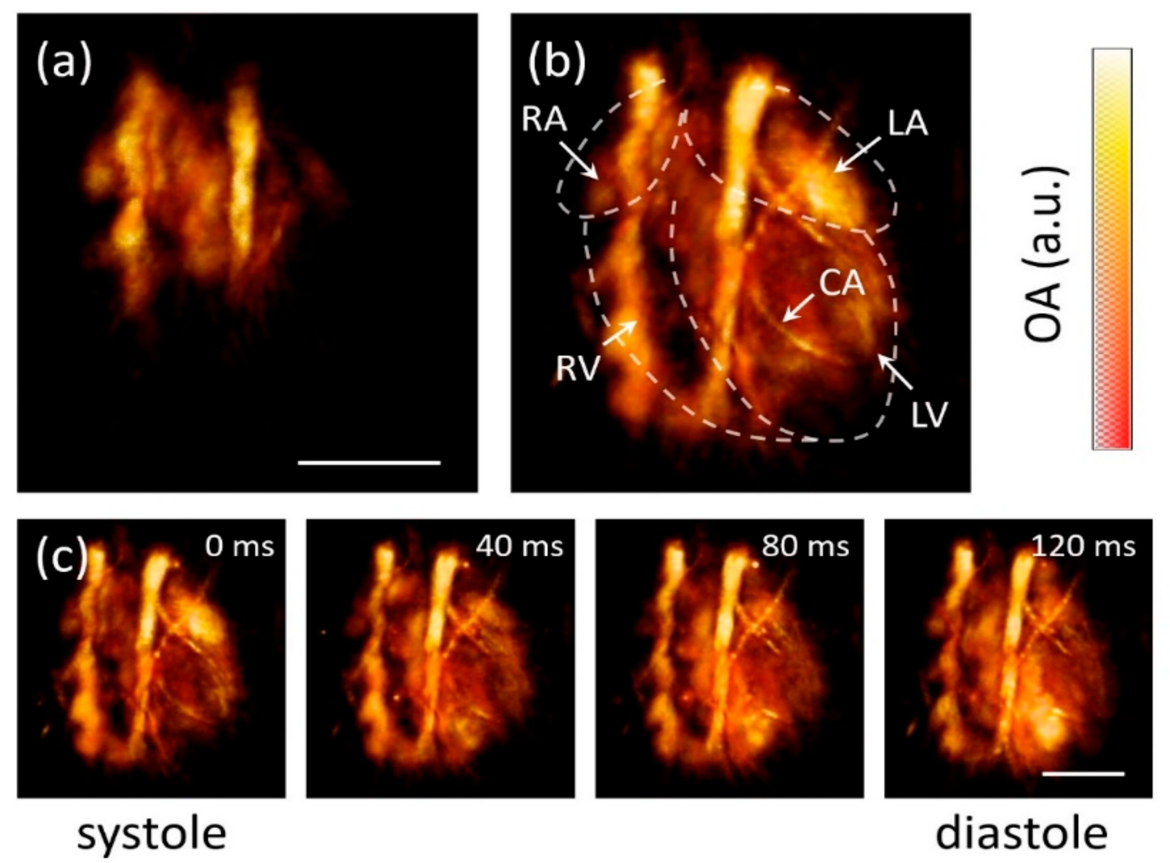 Applsci 10 06254 g002 Applsci 10 06254 g002