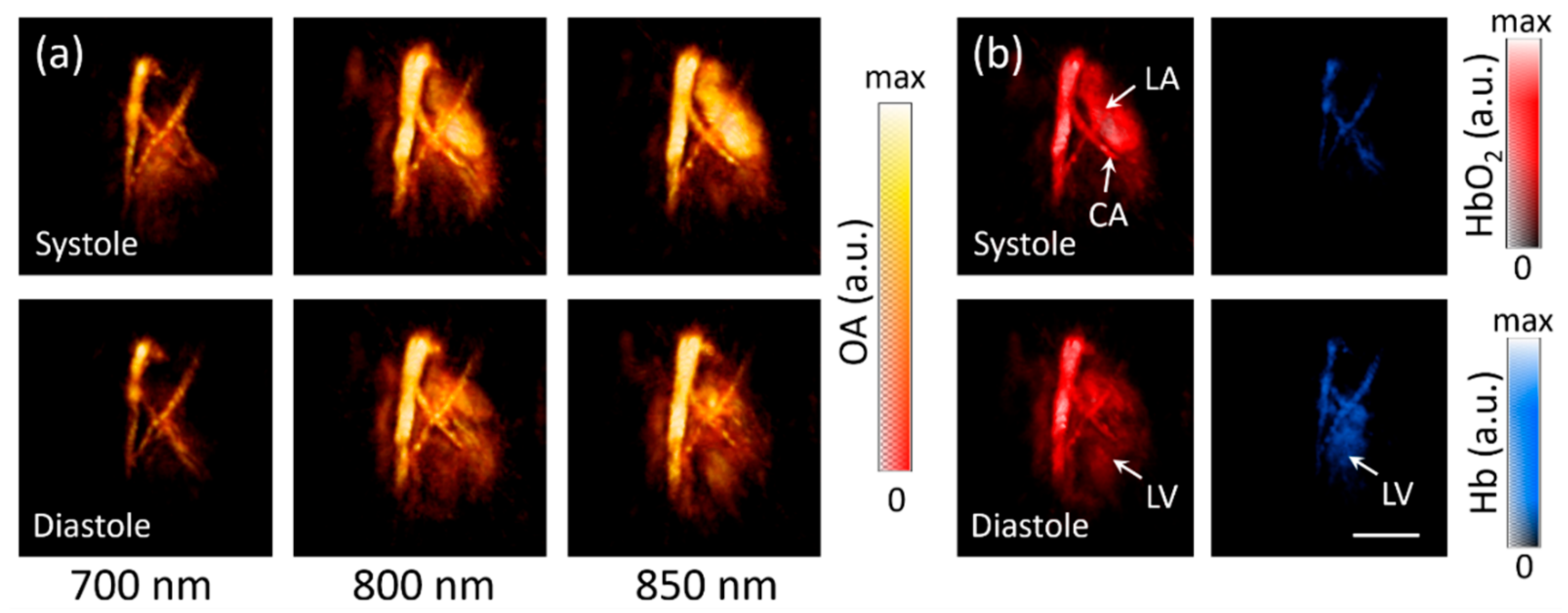 Applsci 10 06254 g003 Applsci 10 06254 g003