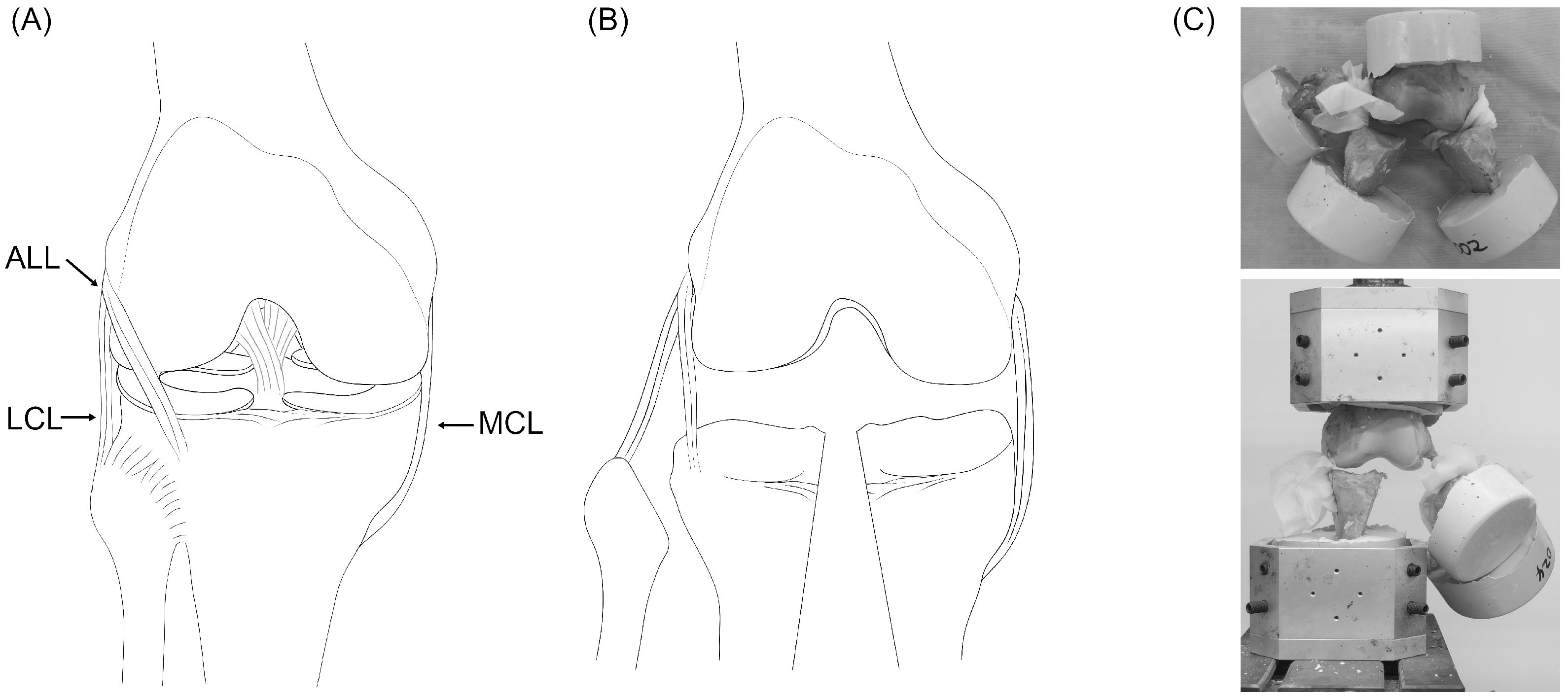 Applsci 10 06266 g001 Applsci 10 06266 g001