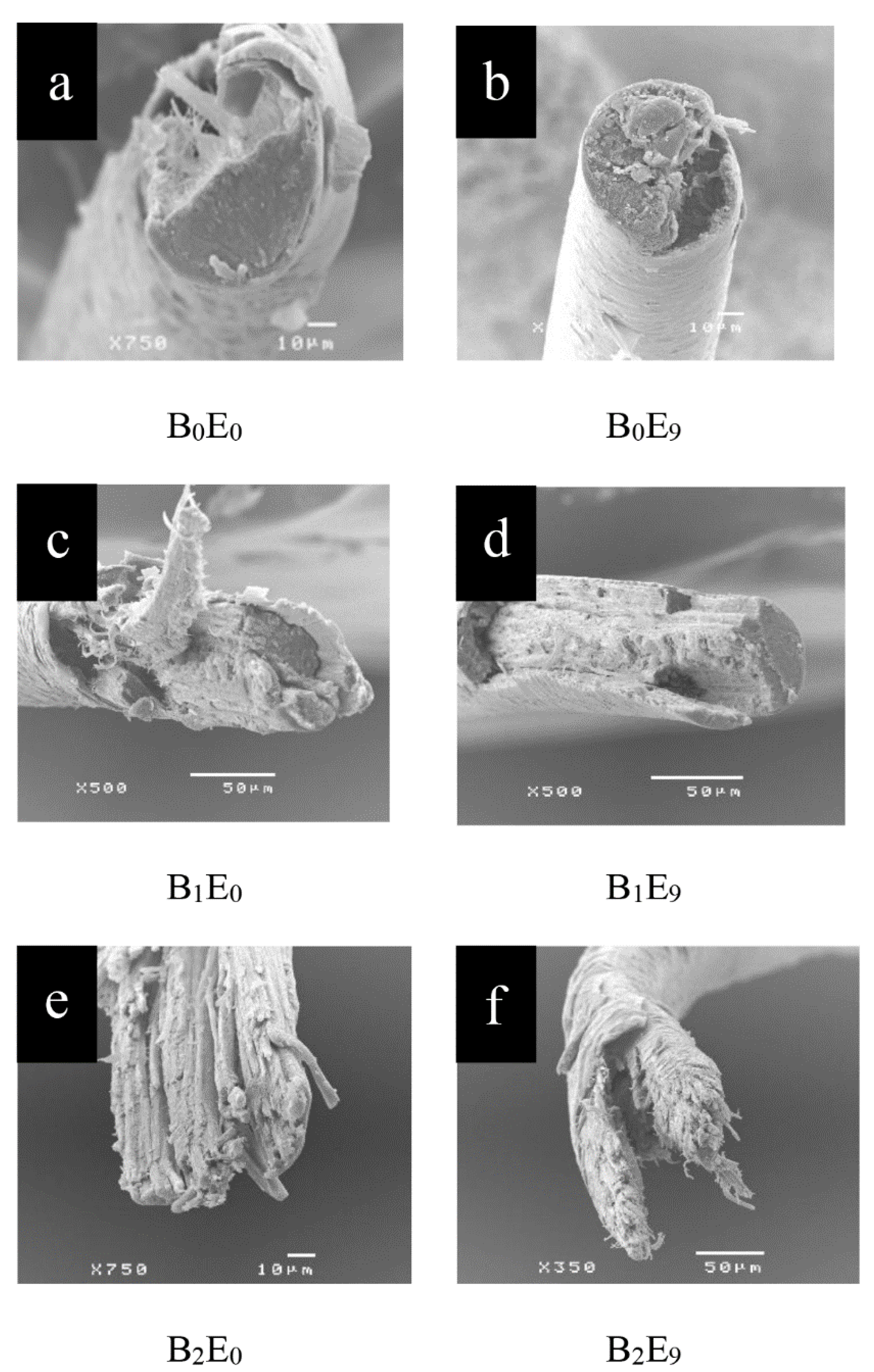 Applsci 10 06305 g007