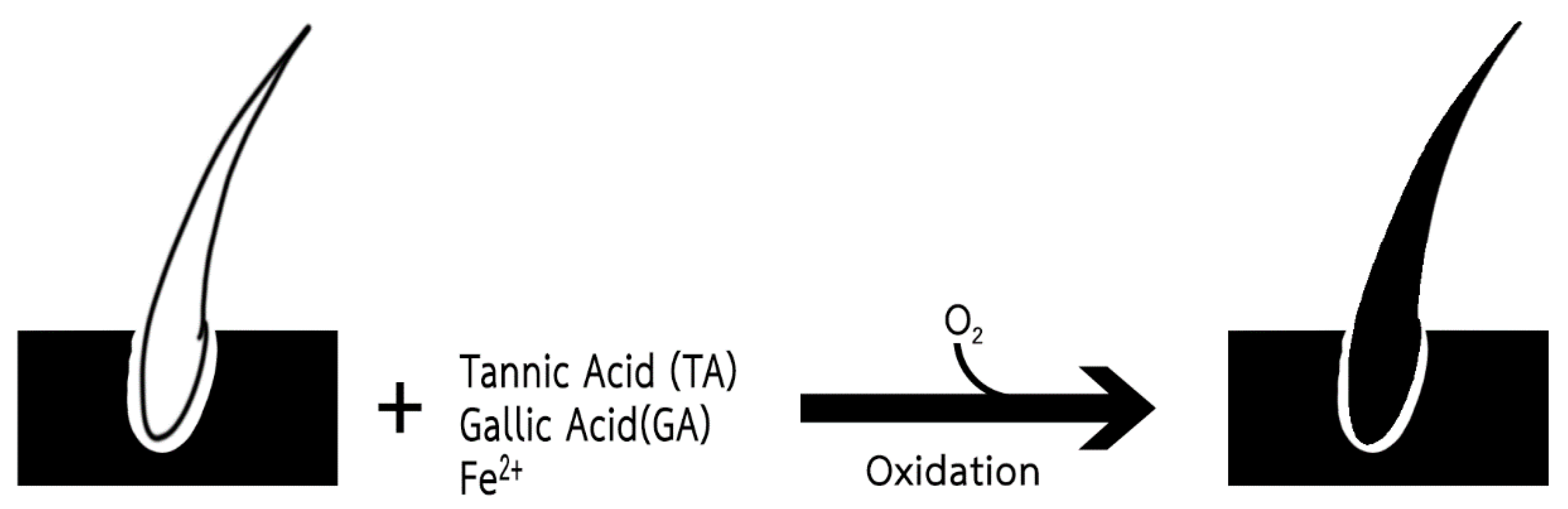 Applsci 10 06305 g008