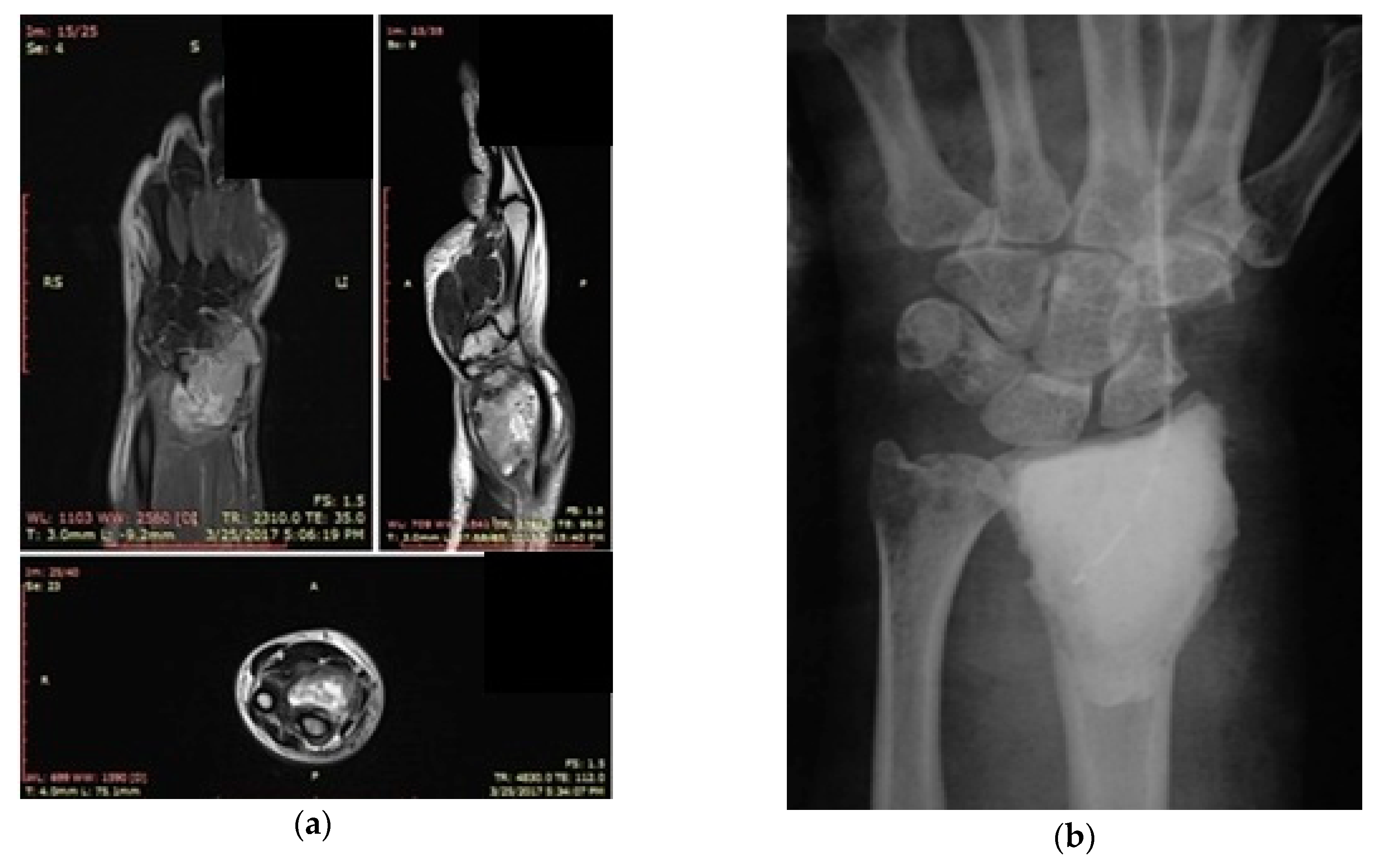 Applsci 10 06310 g002 Applsci 10 06310 g002