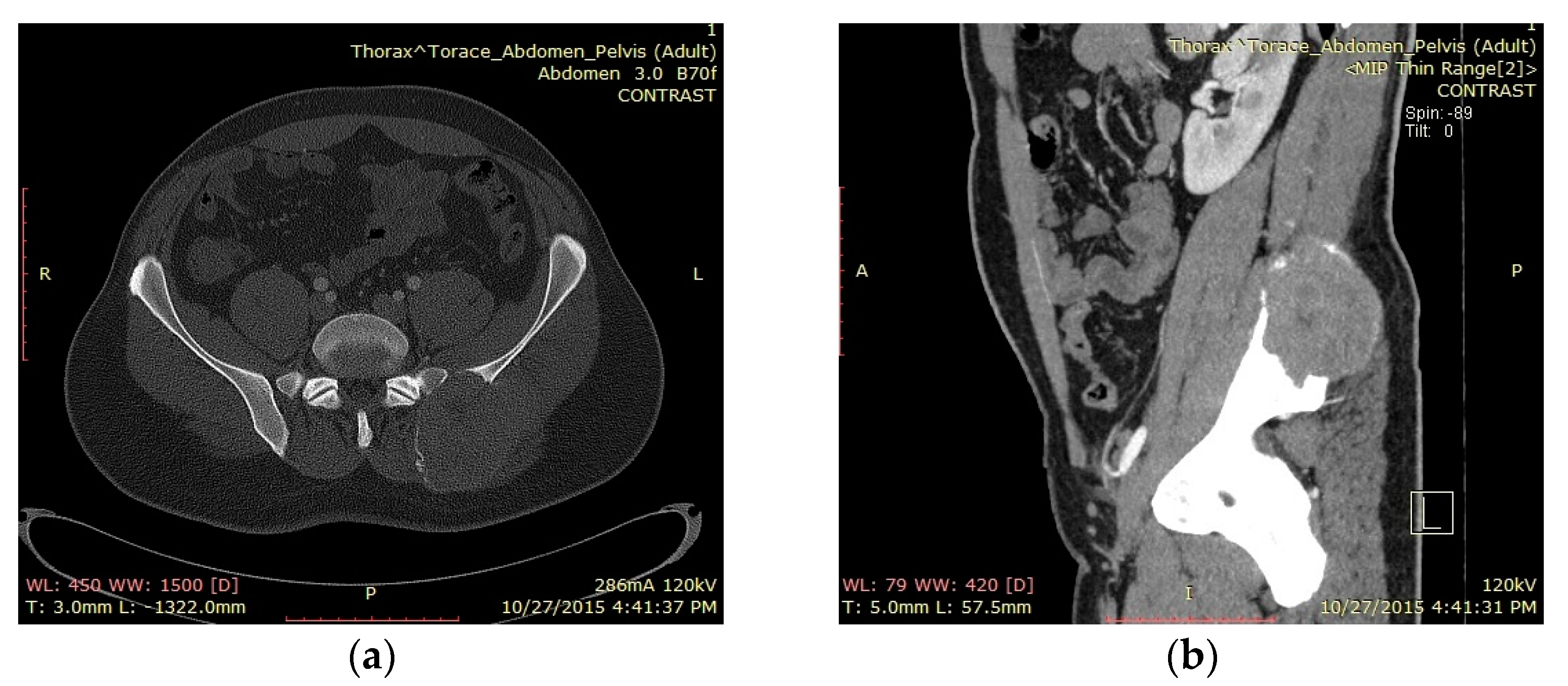 Applsci 10 06310 g003 Applsci 10 06310 g003