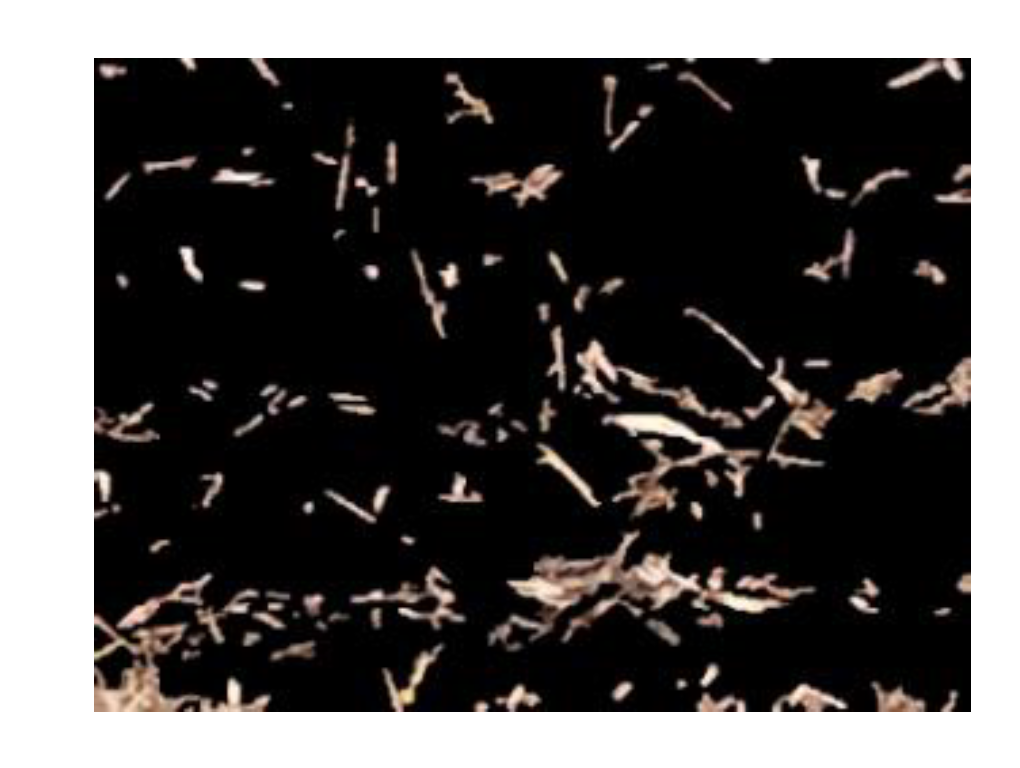 Applsci 10 06343 g009