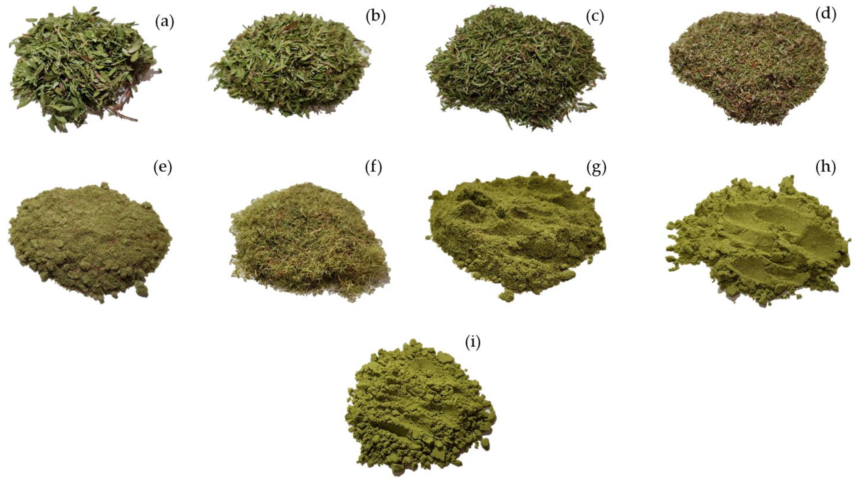 Applsci 10 06362 g001