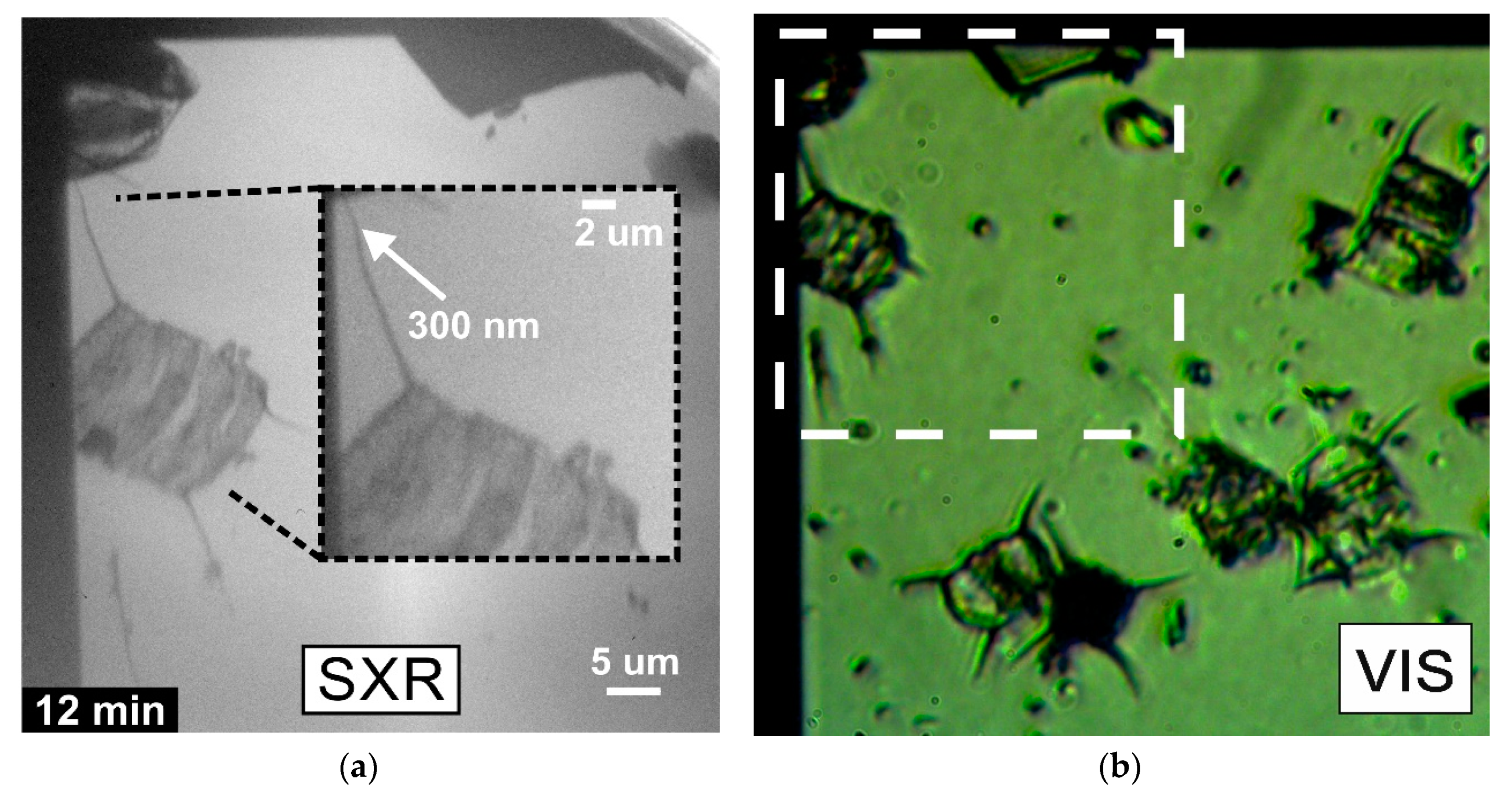Applsci 10 06373 g006 Applsci 10 06373 g006