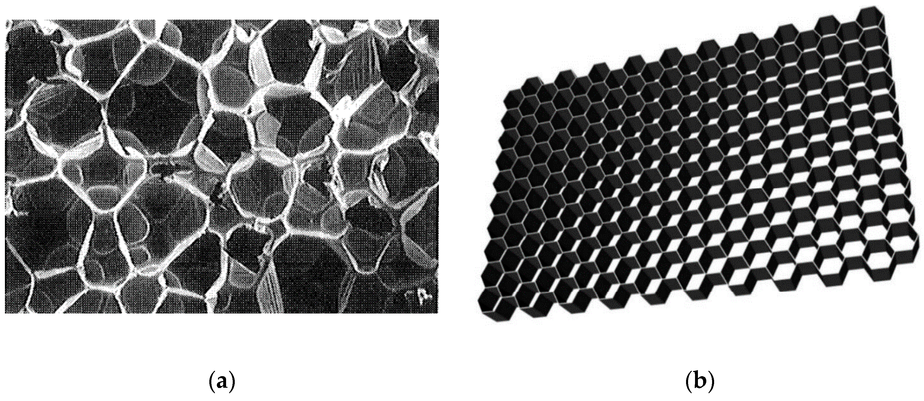 Applsci 10 06374 g001a Applsci 10 06374 g001a