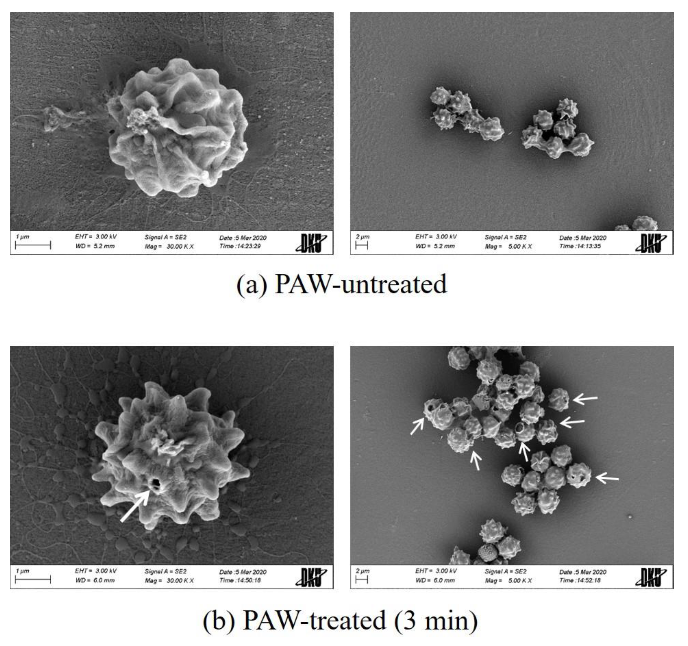 Applsci 10 06378 g006 Applsci 10 06378 g006