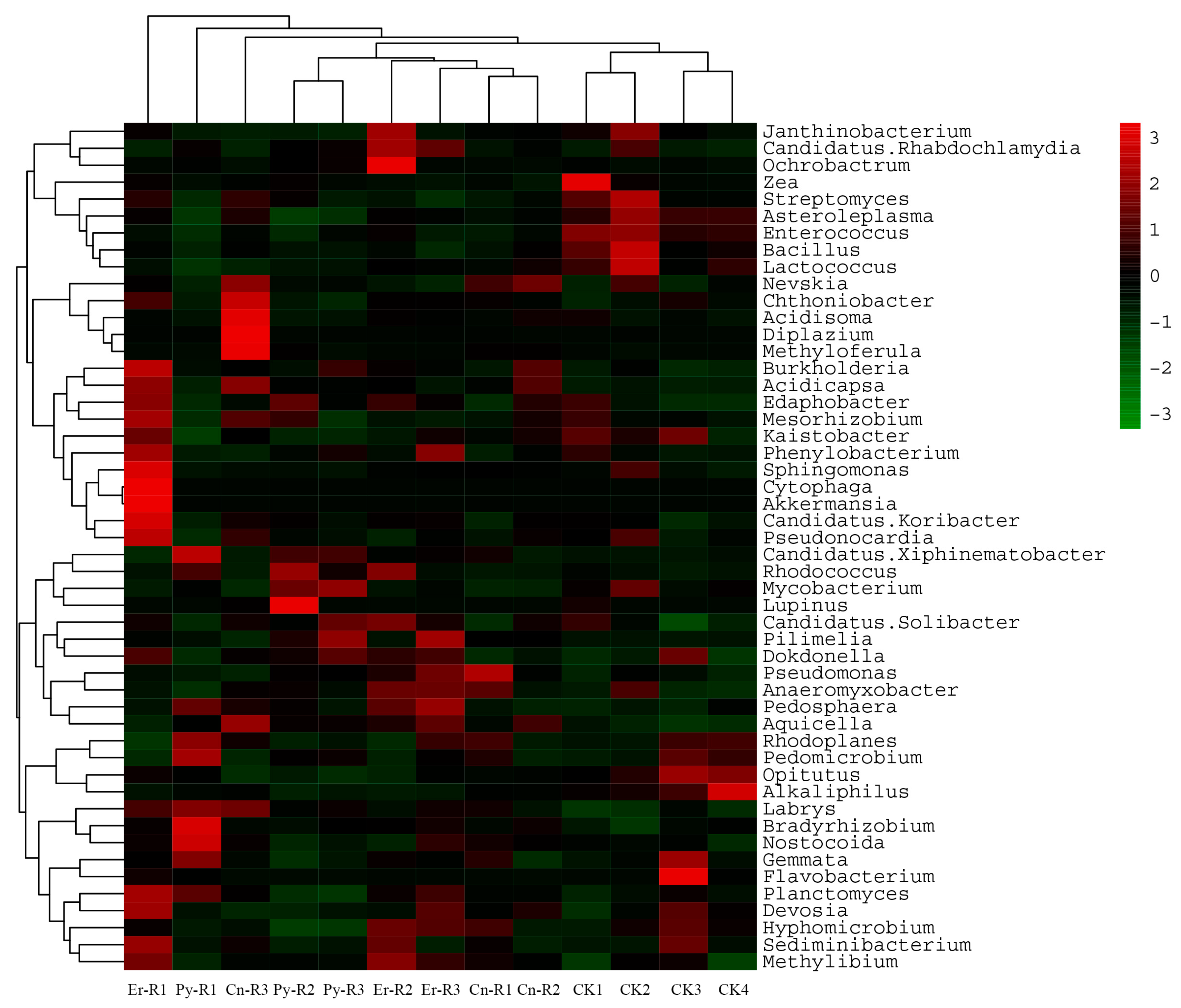 Applsci 10 06387 g004