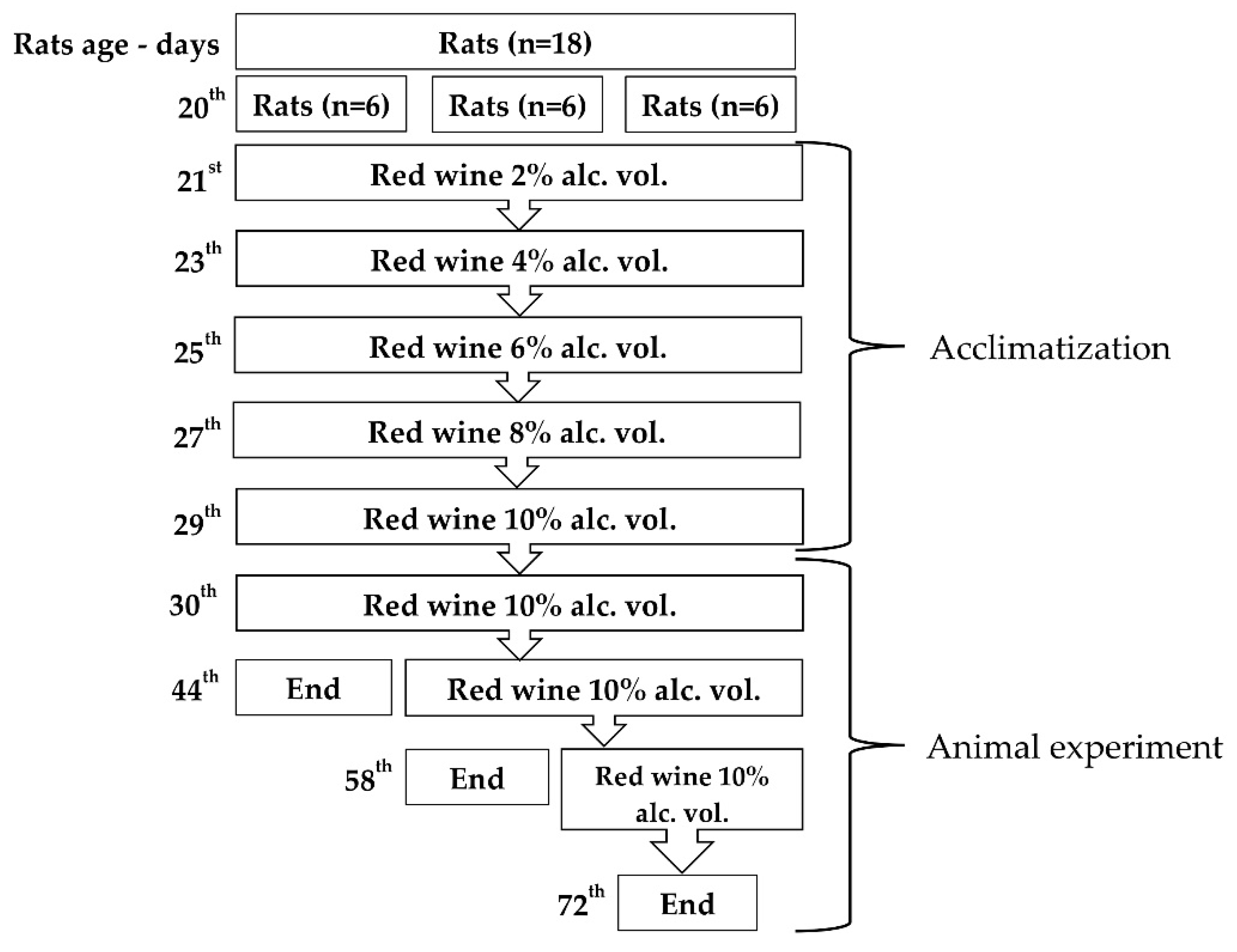 Applsci 10 06389 g001