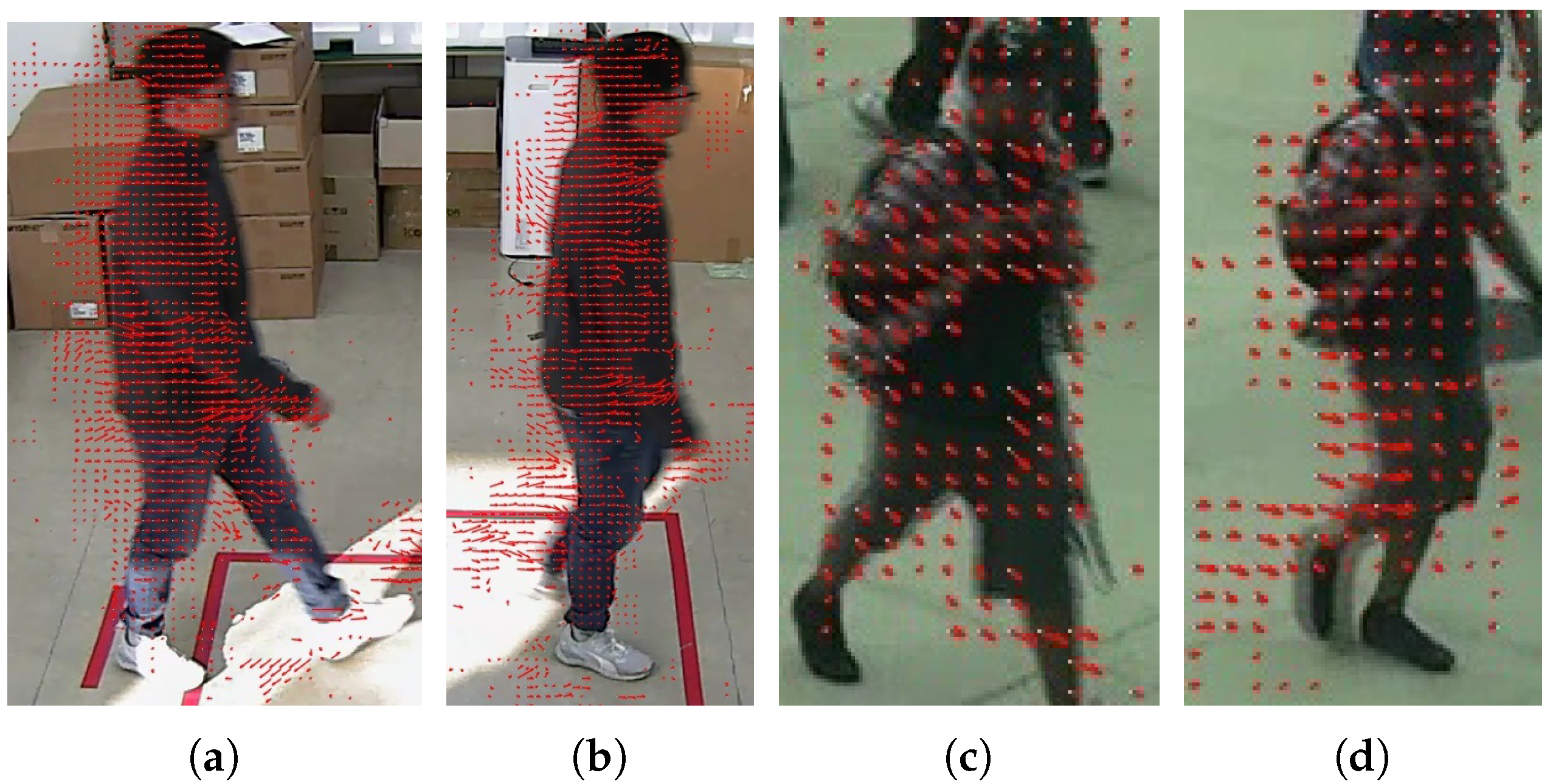 Applsci 10 06391 g009 Applsci 10 06391 g009