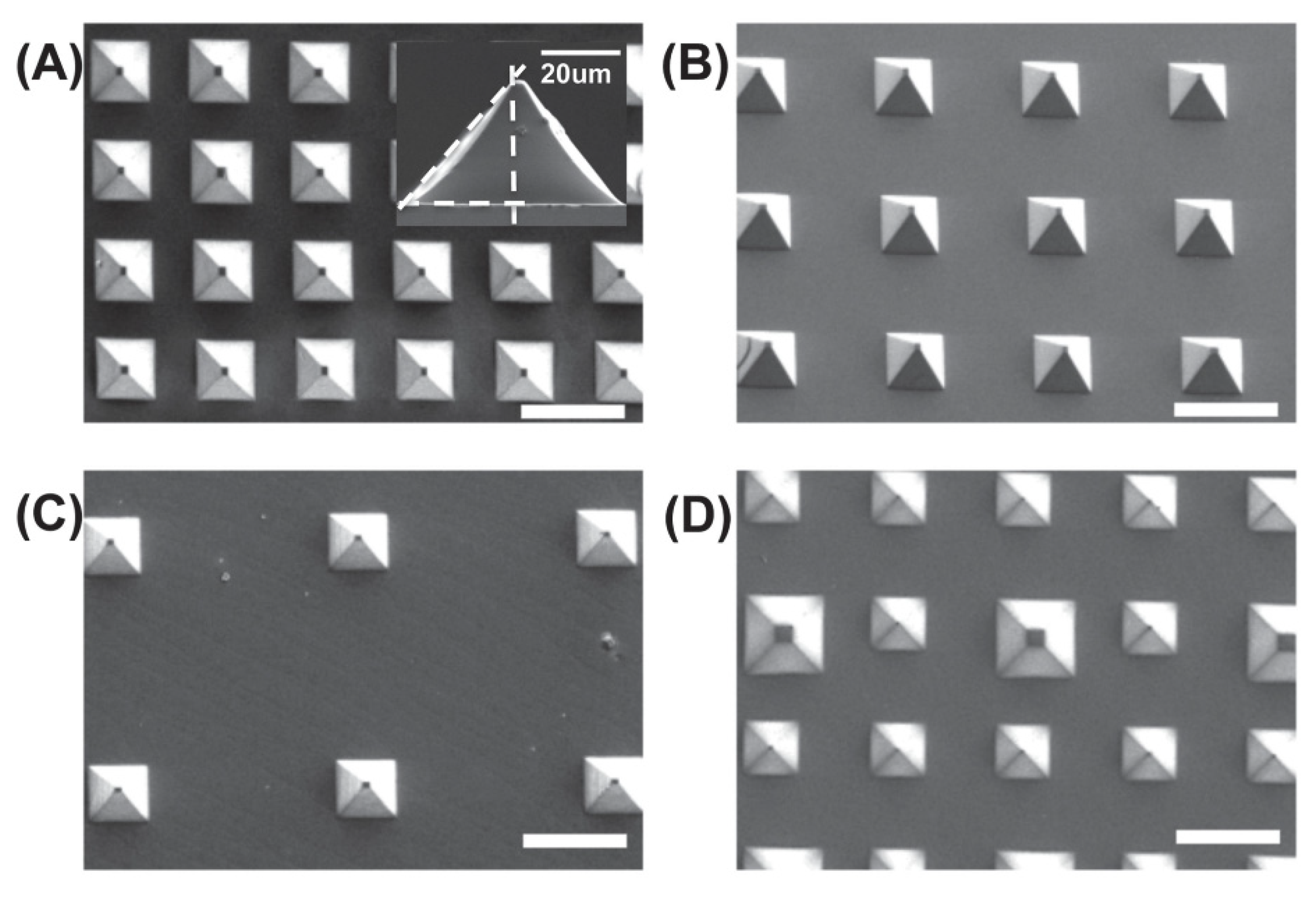 Applsci 10 06403 g005 Applsci 10 06403 g005