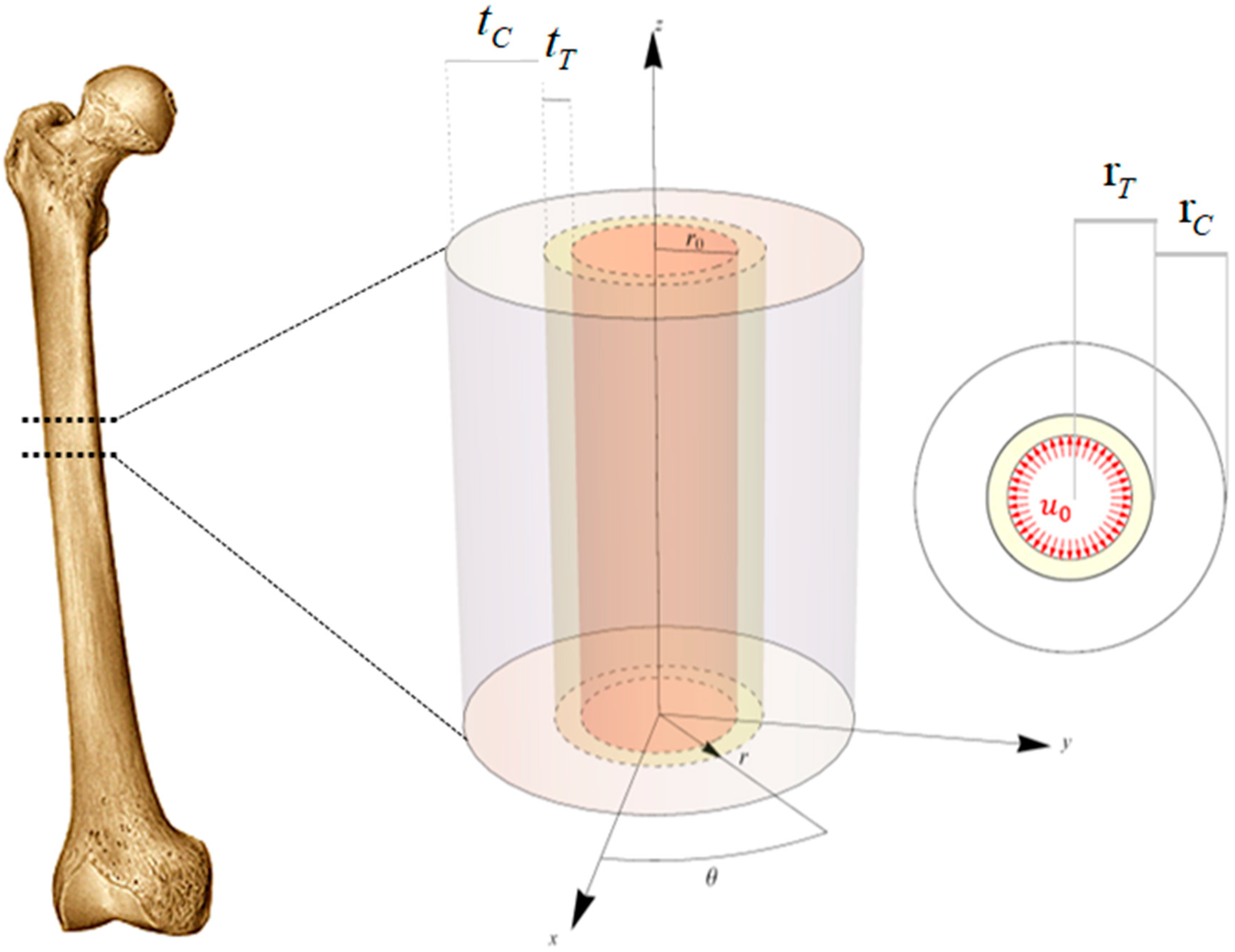 Applsci 10 06409 g001