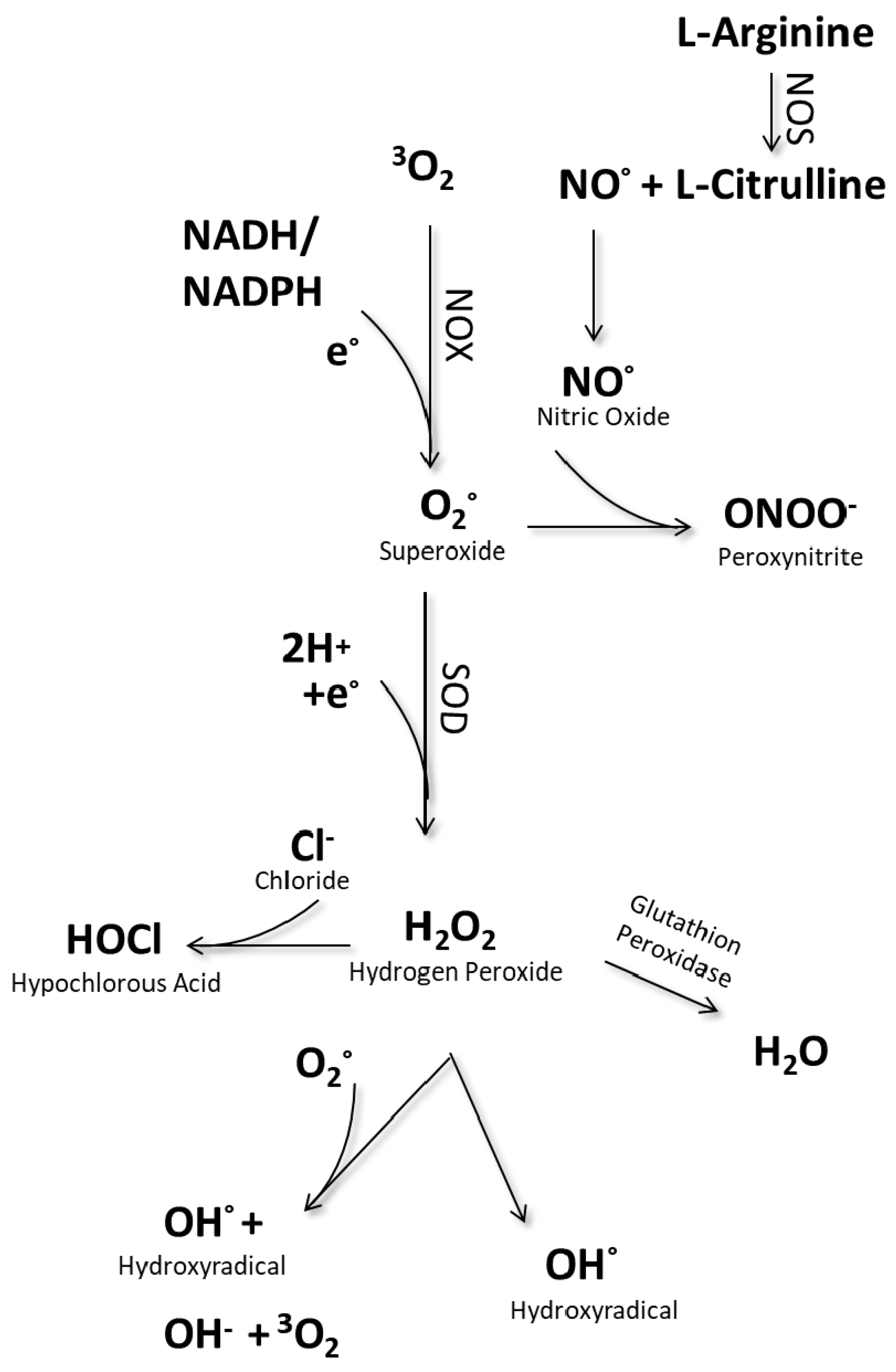 Applsci 10 06419 g001 Applsci 10 06419 g001