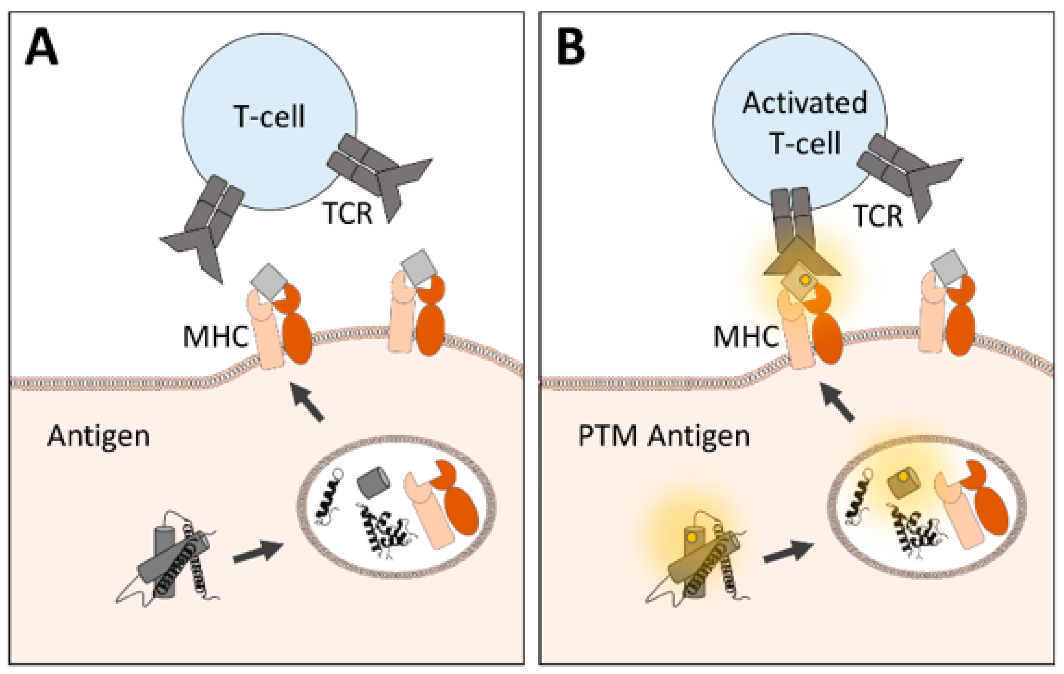Applsci 10 06419 g002 Applsci 10 06419 g002