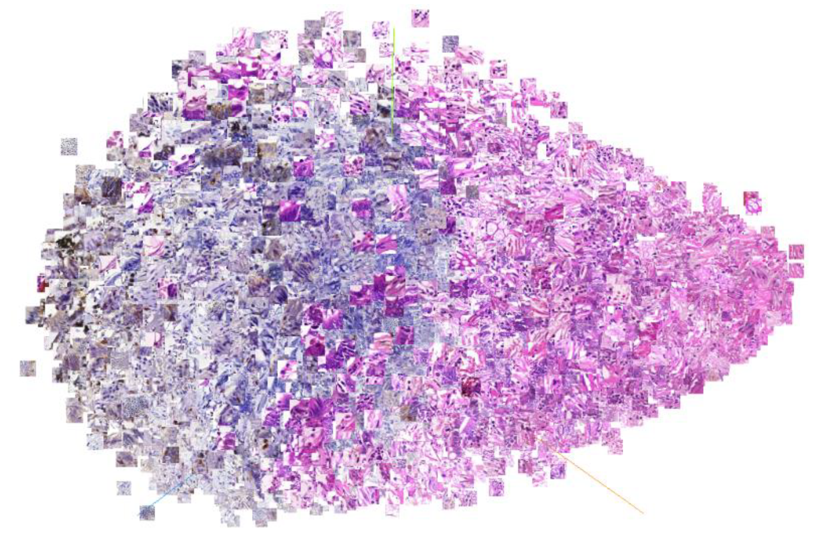 Applsci 10 06427 g004 Applsci 10 06427 g004