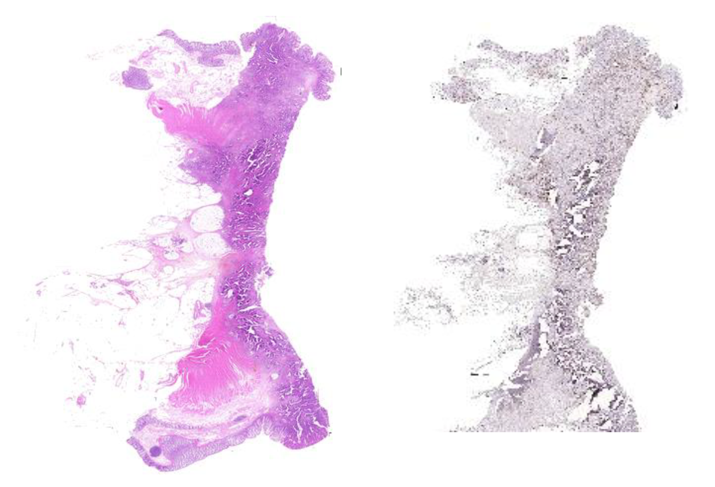 Applsci 10 06427 g010 Applsci 10 06427 g010