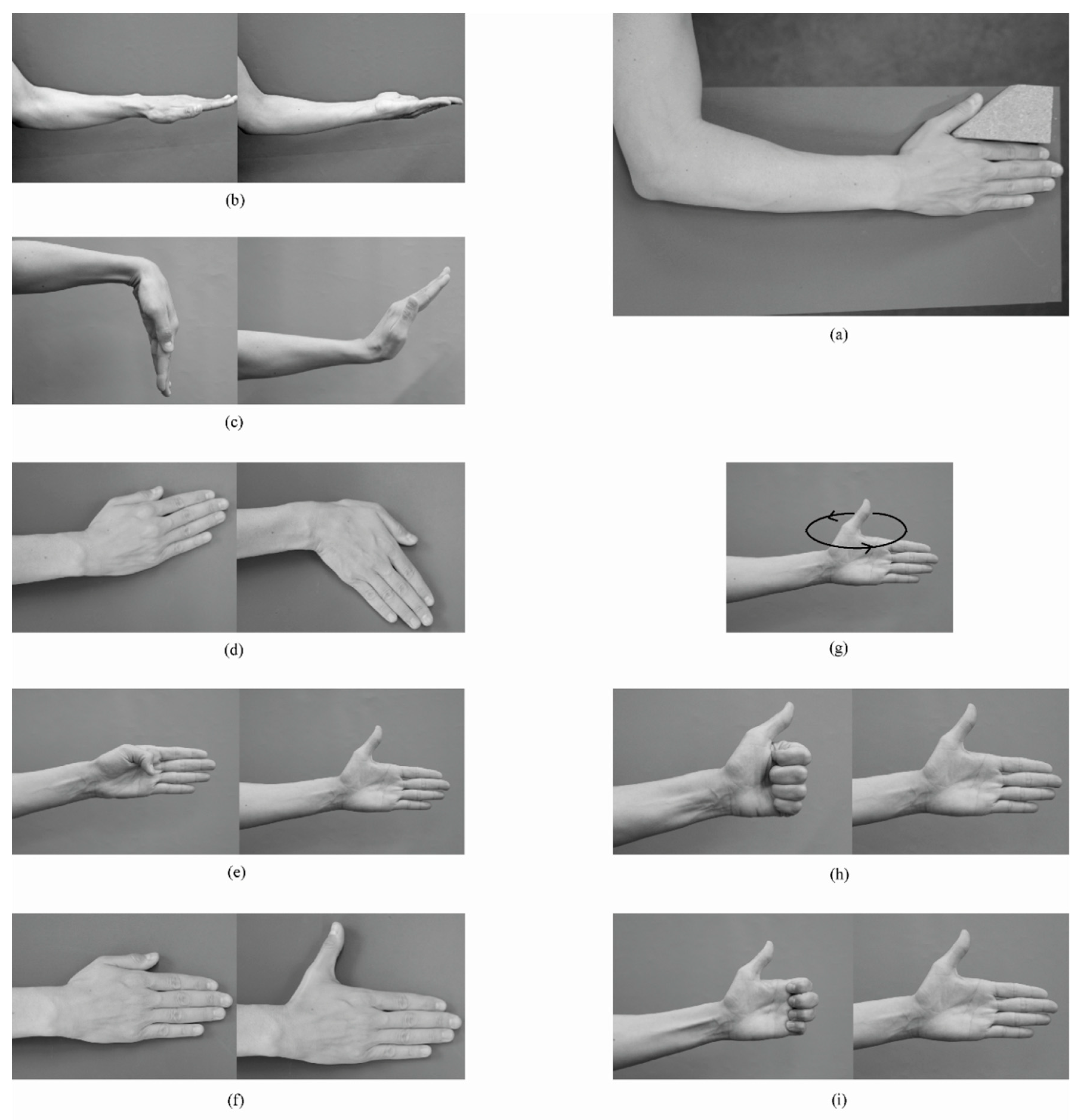 Applsci 10 06436 g002