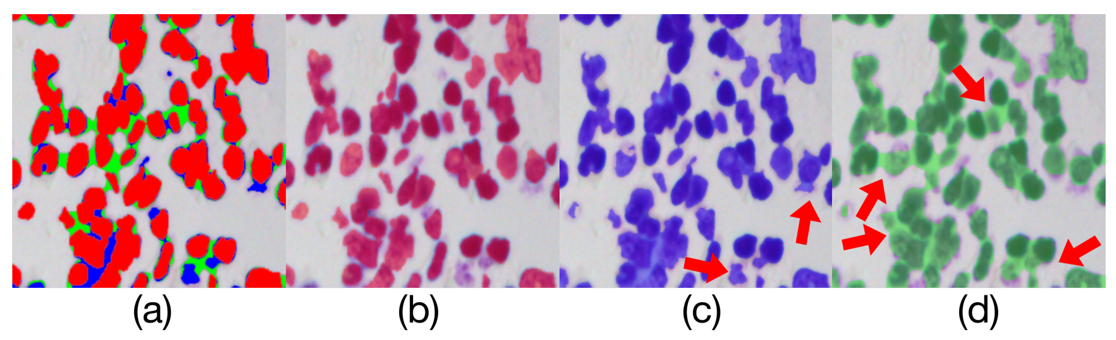 Applsci 10 06439 g013