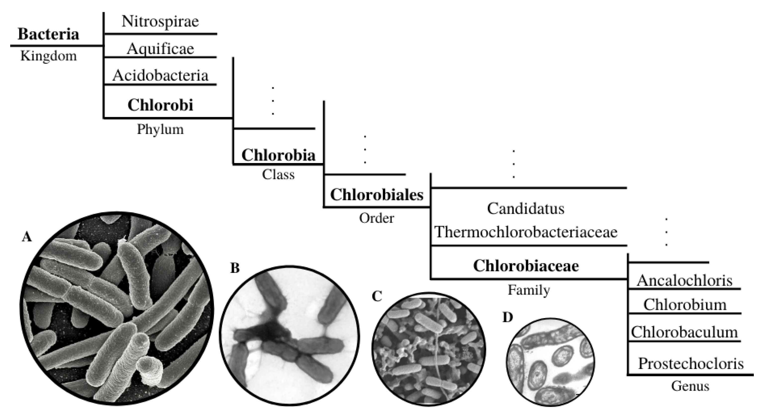 Applsci 10 06474 g003 Applsci 10 06474 g003