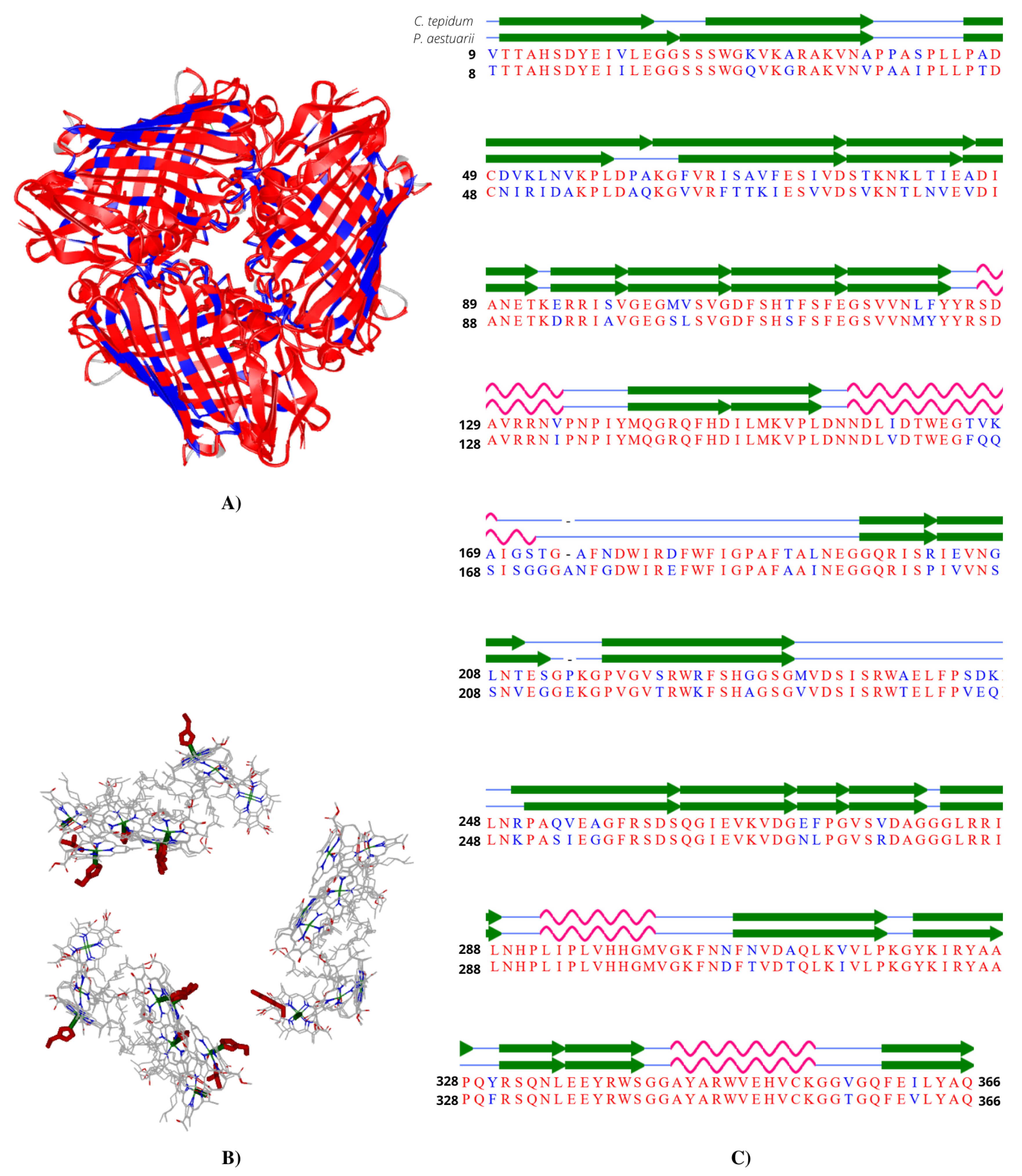 Applsci 10 06474 g017 Applsci 10 06474 g017
