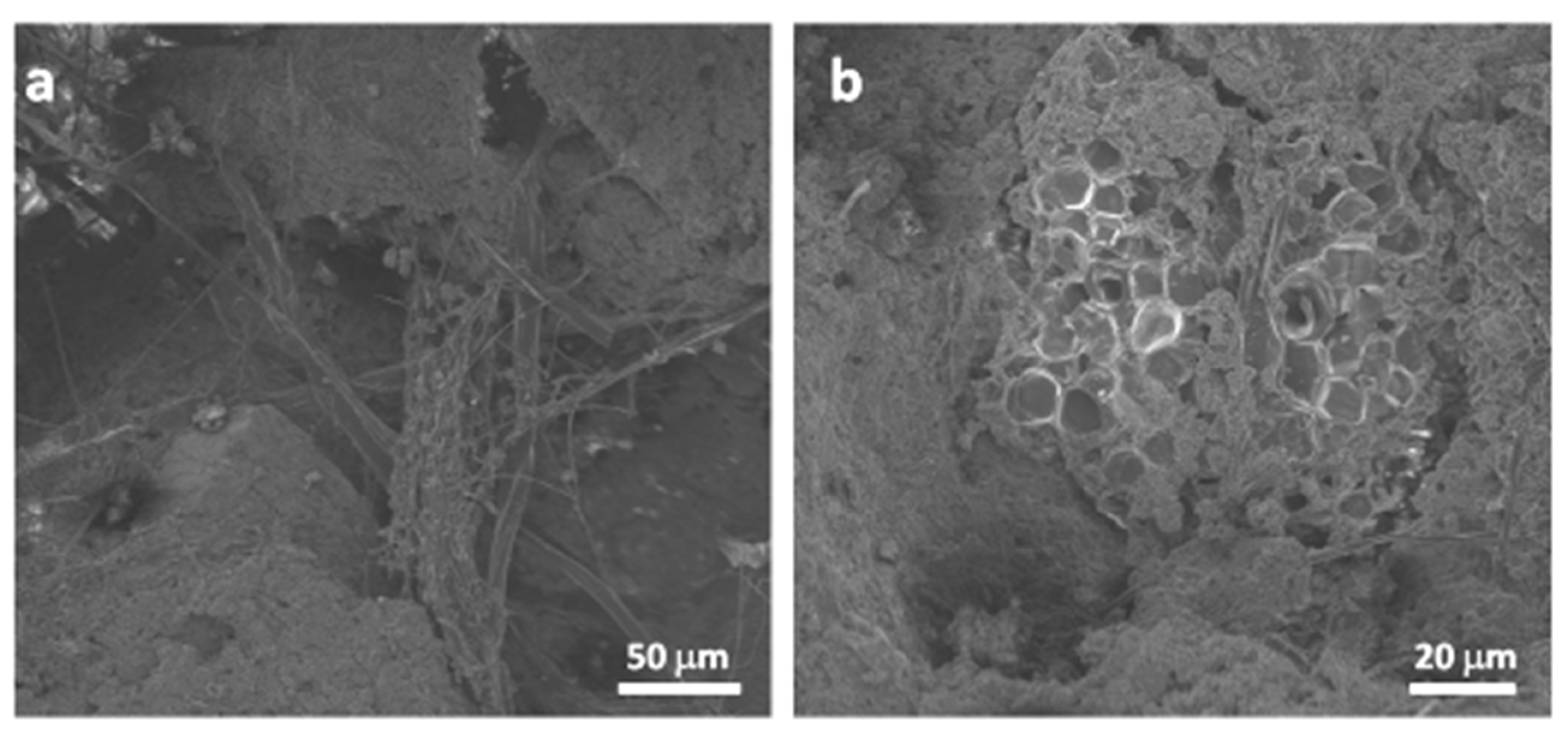 Applsci 10 06491 g009 Applsci 10 06491 g009