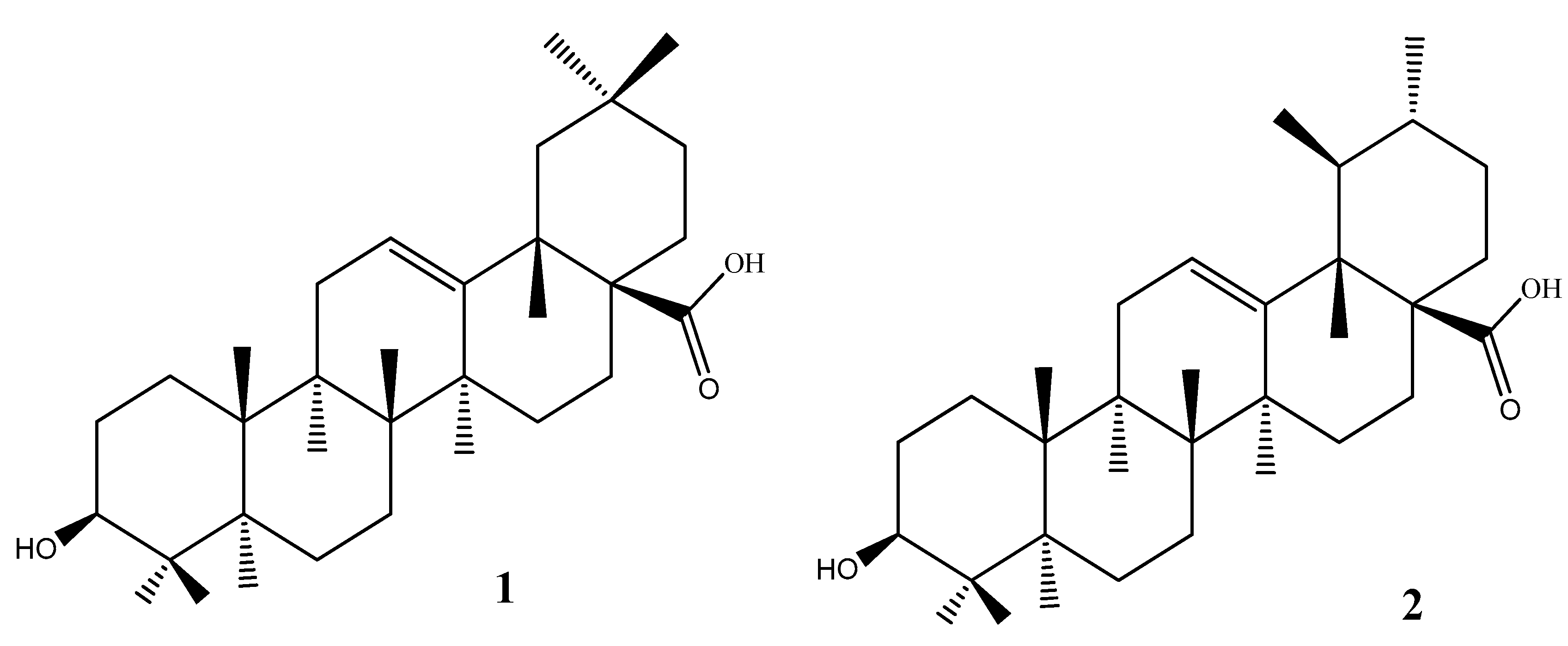 Applsci 10 06505 g001