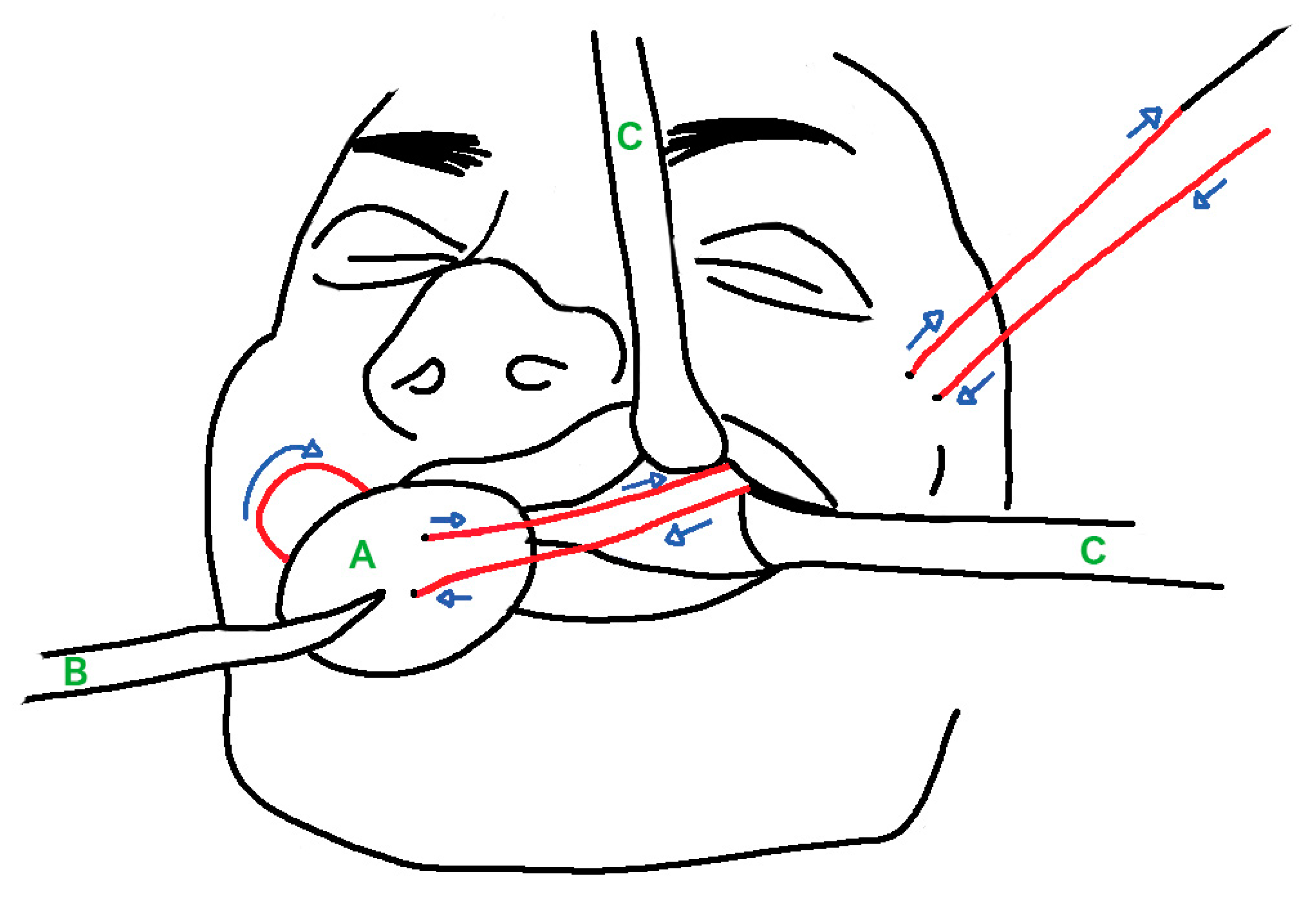 Applsci 10 06508 g004