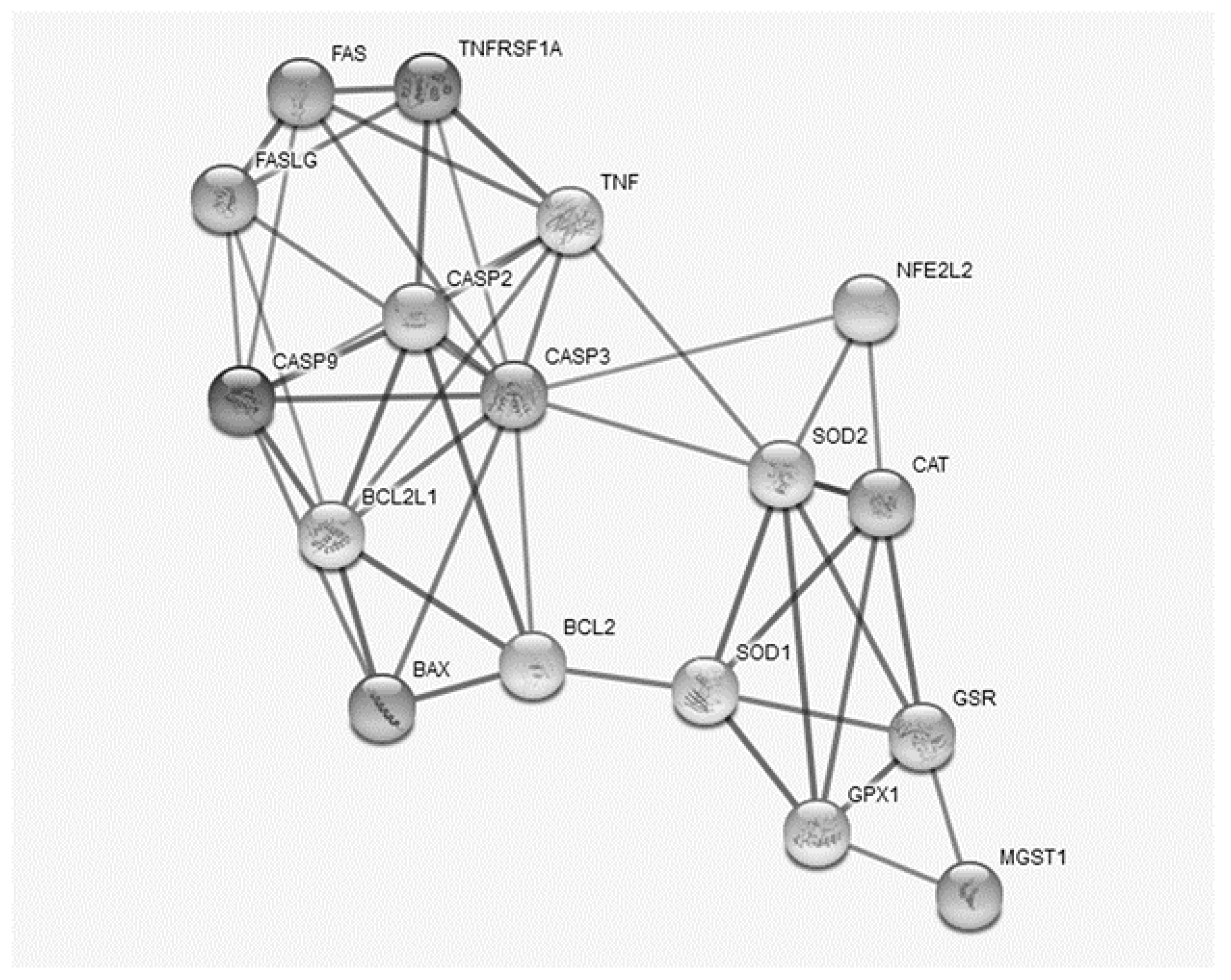 Applsci 10 06509 g002