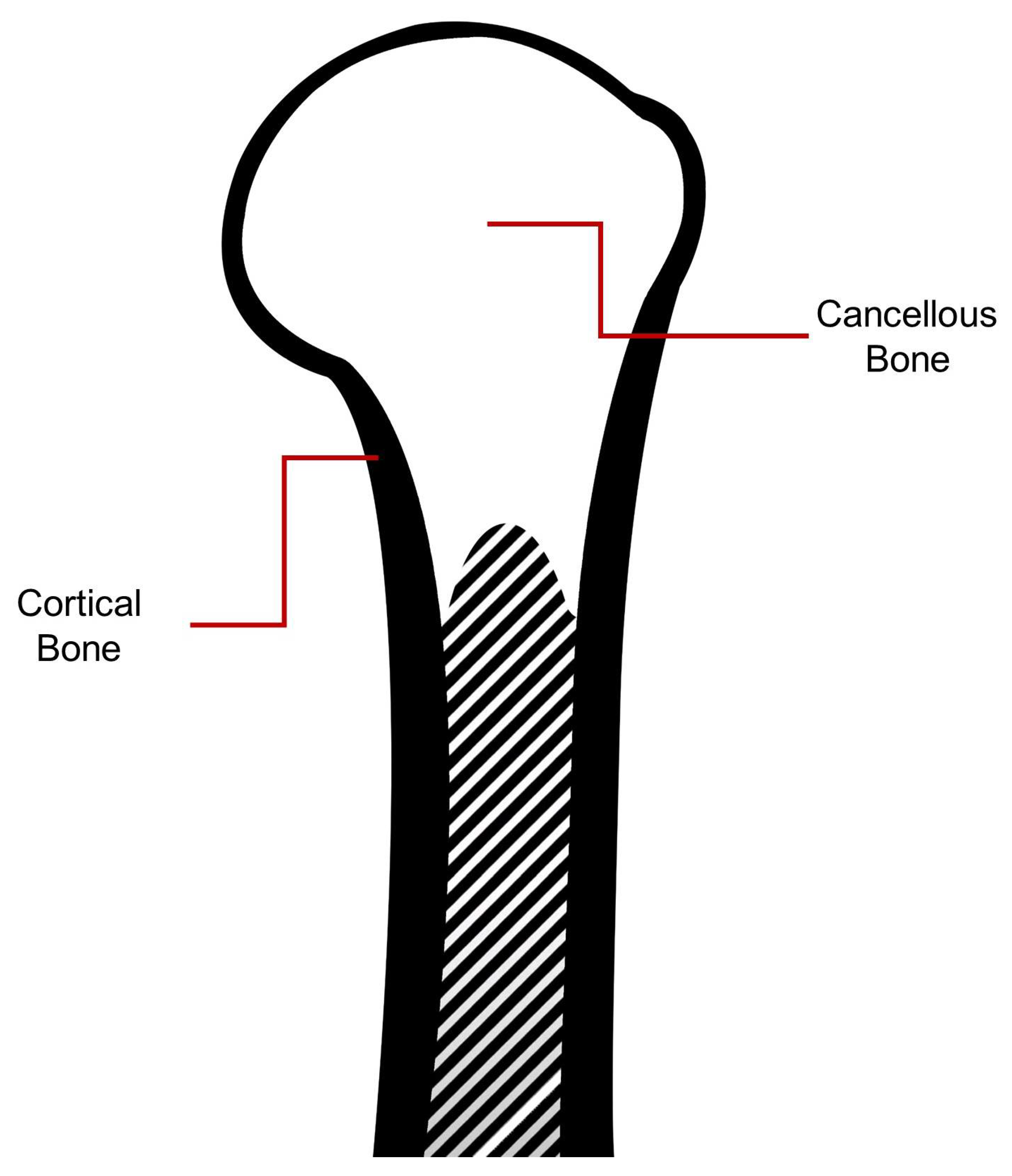 Applsci 10 06514 g003 Applsci 10 06514 g003