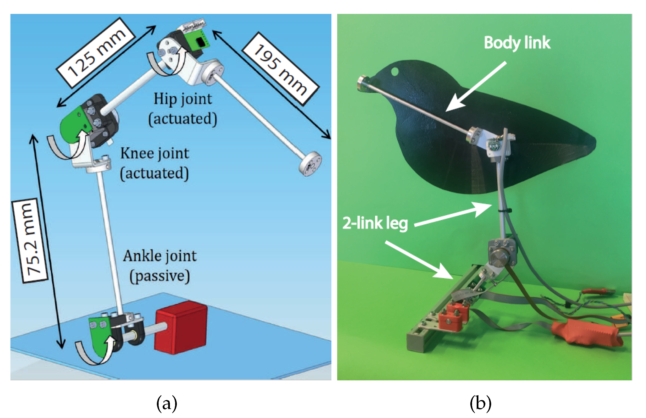 Applsci 10 06516 g003
