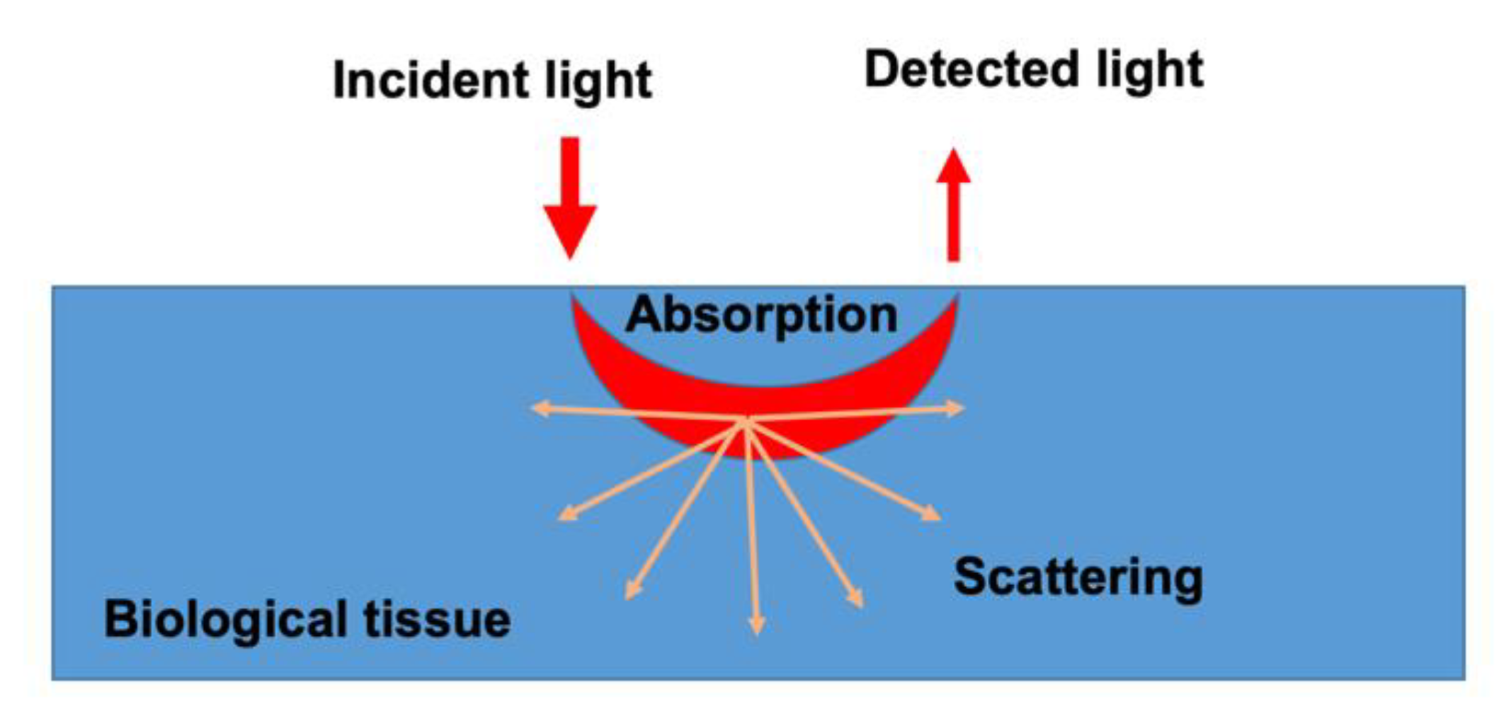 Applsci 10 06522 g001