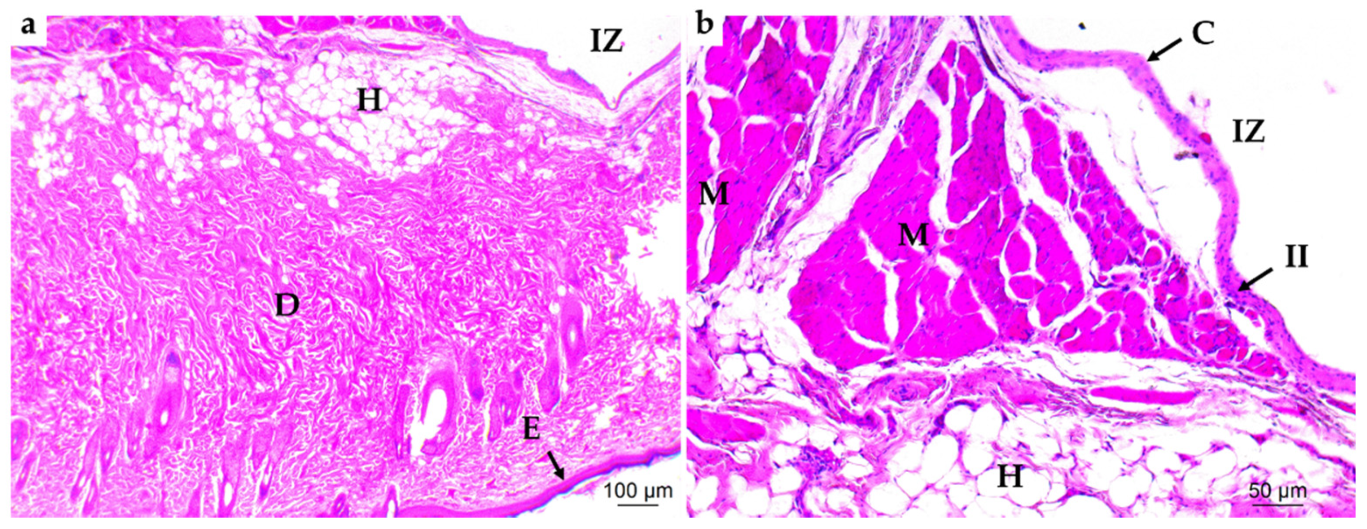 Applsci 10 06528 g005