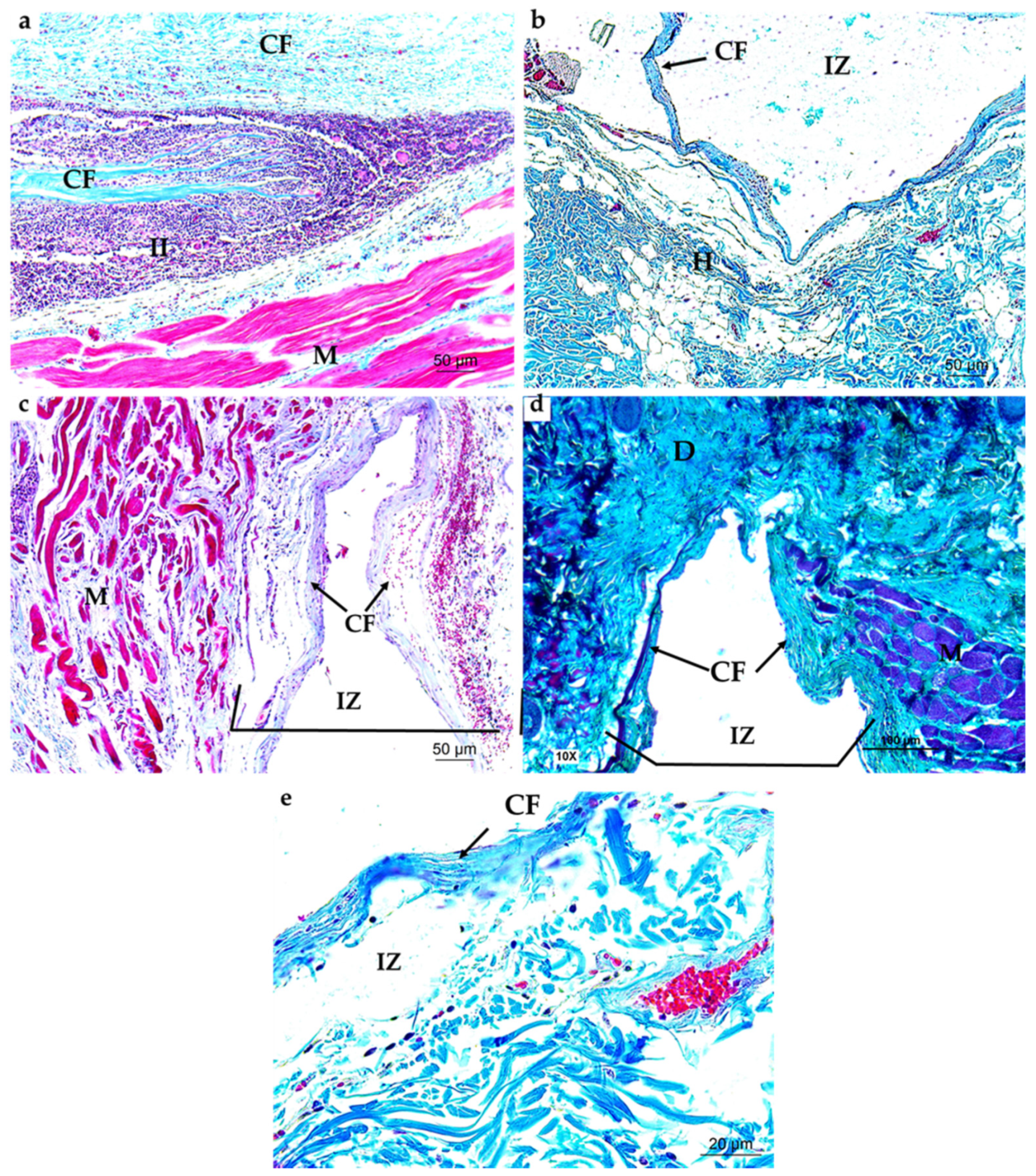 Applsci 10 06528 g007