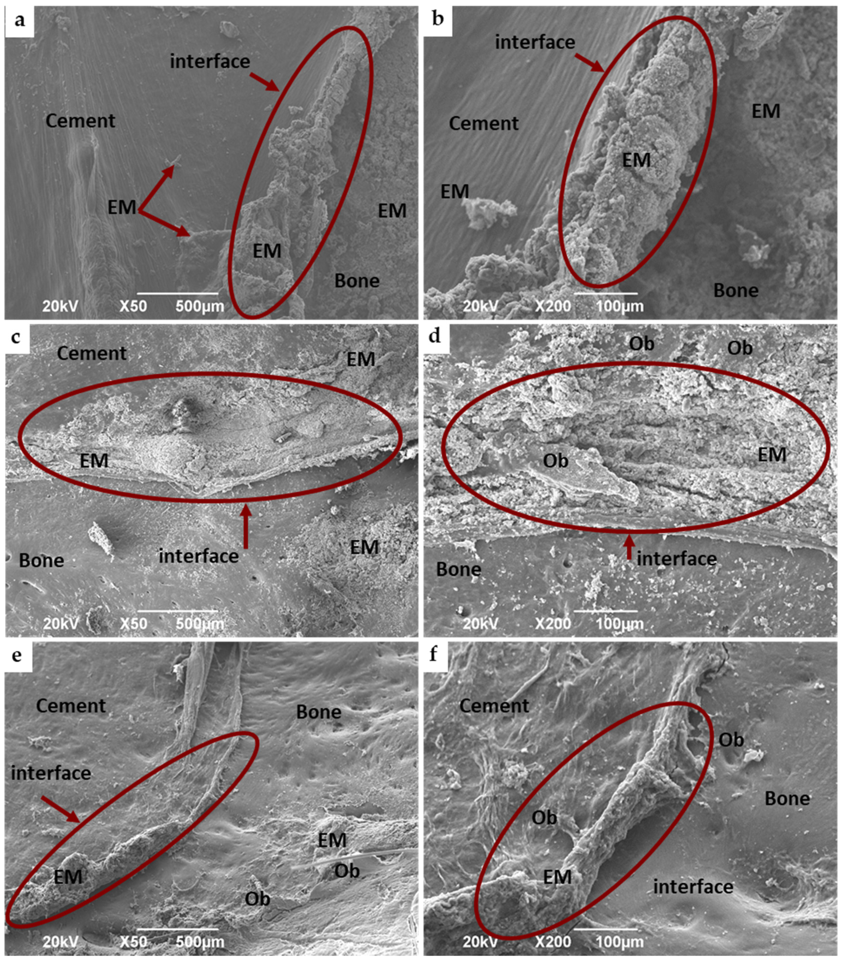 Applsci 10 06528 g009