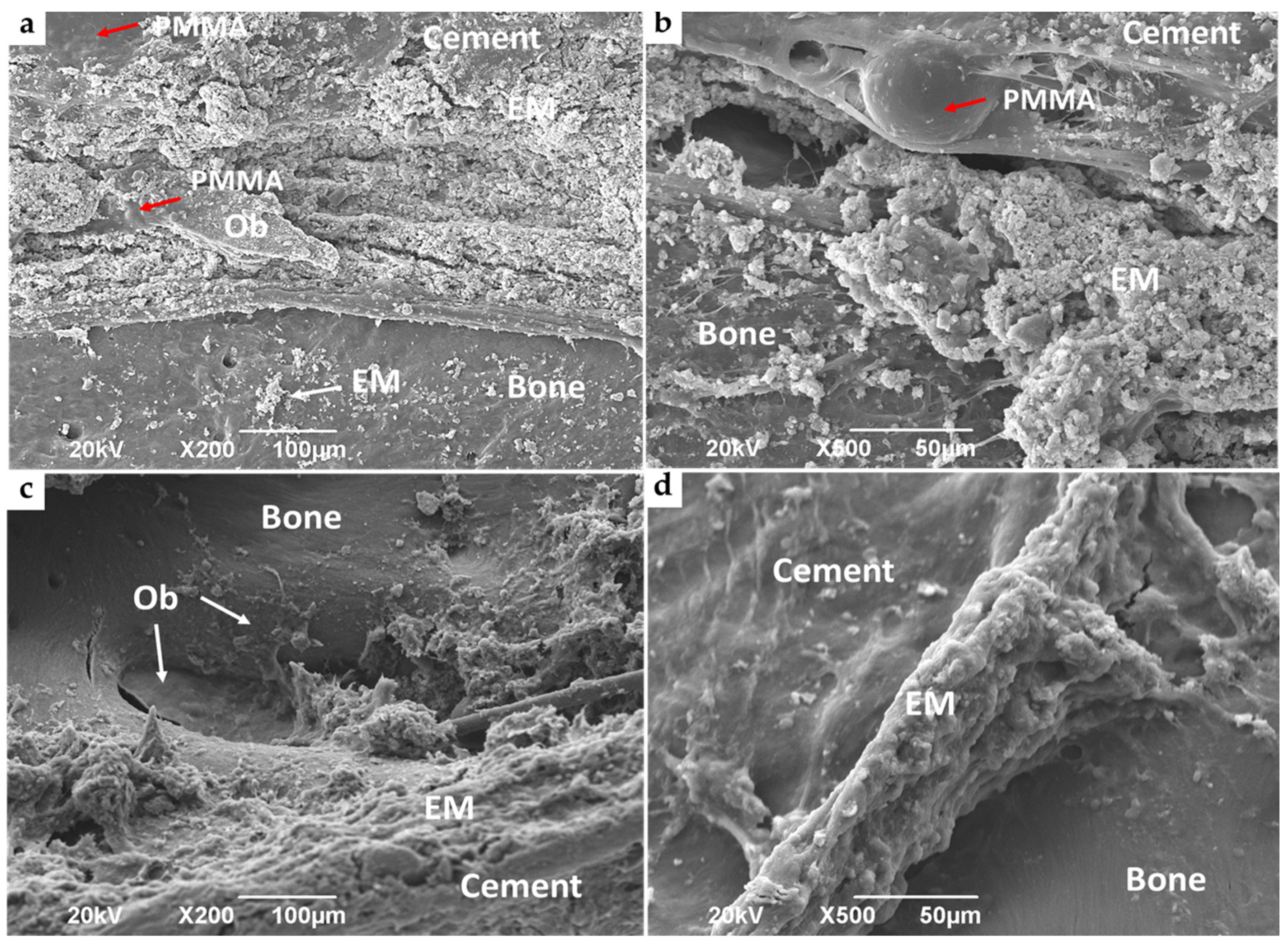 Applsci 10 06528 g010