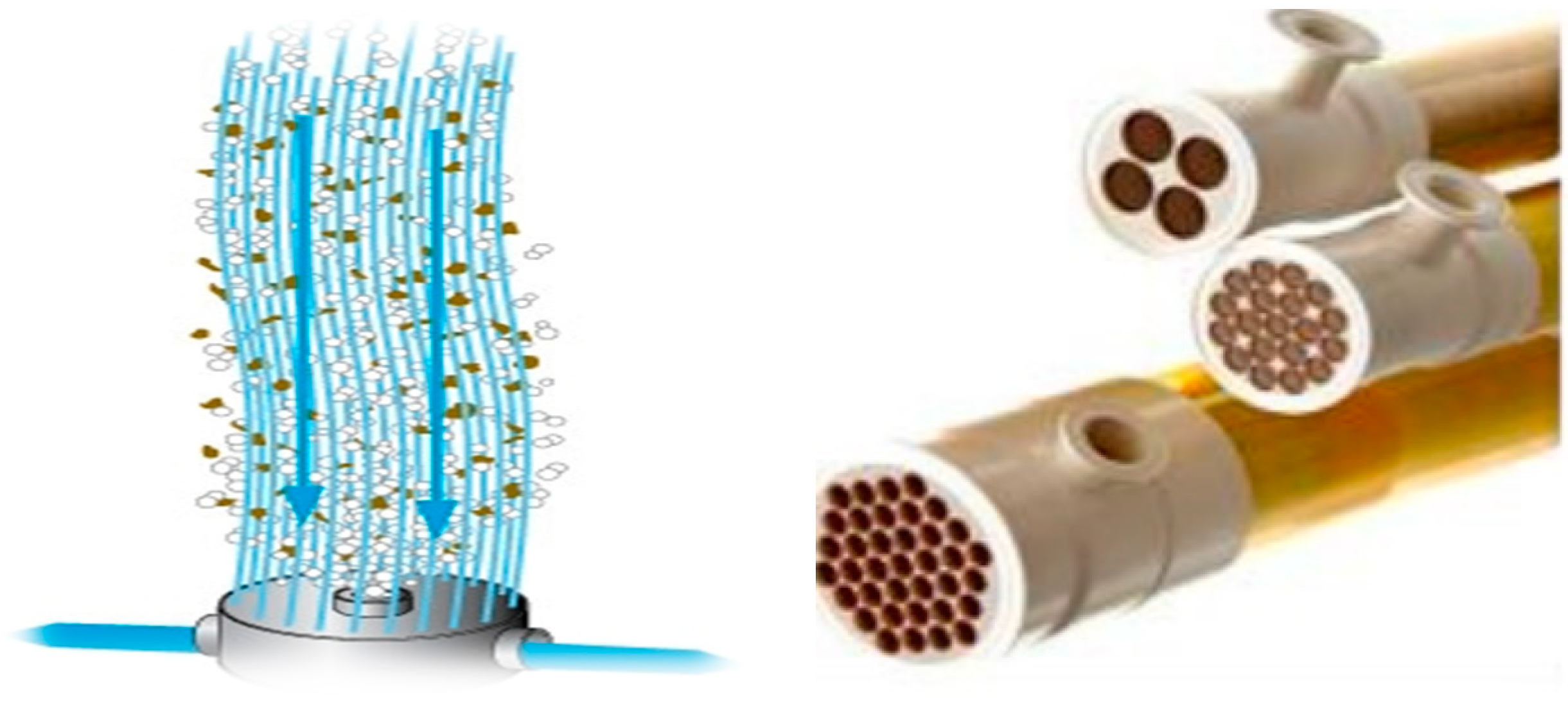 Applsci 10 06529 g001