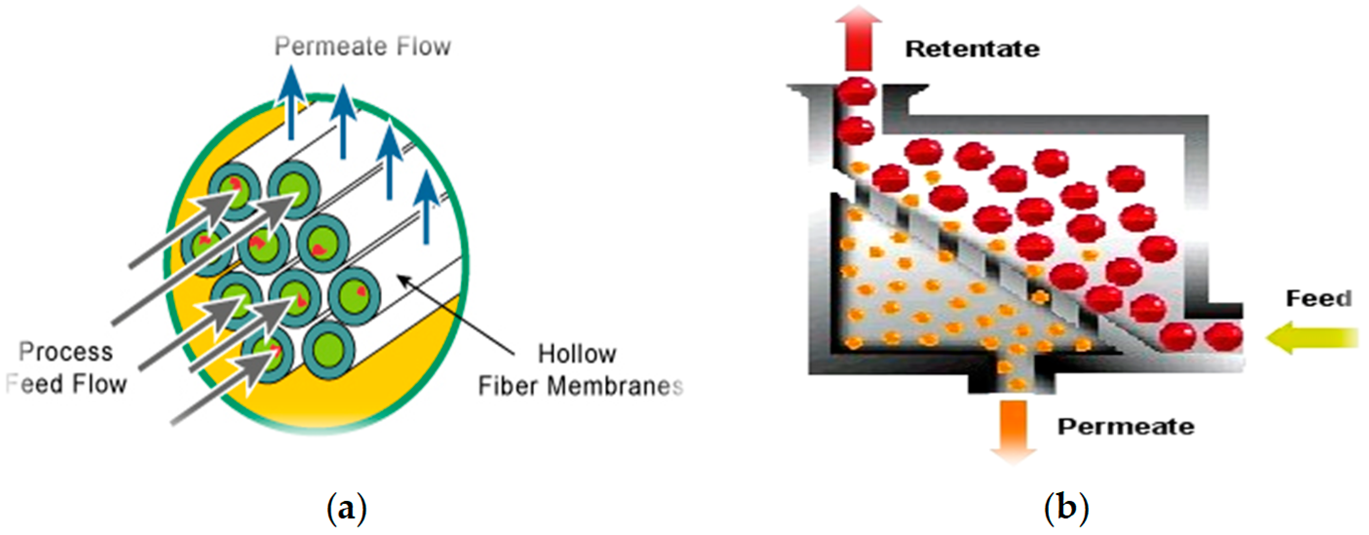 Applsci 10 06529 g002