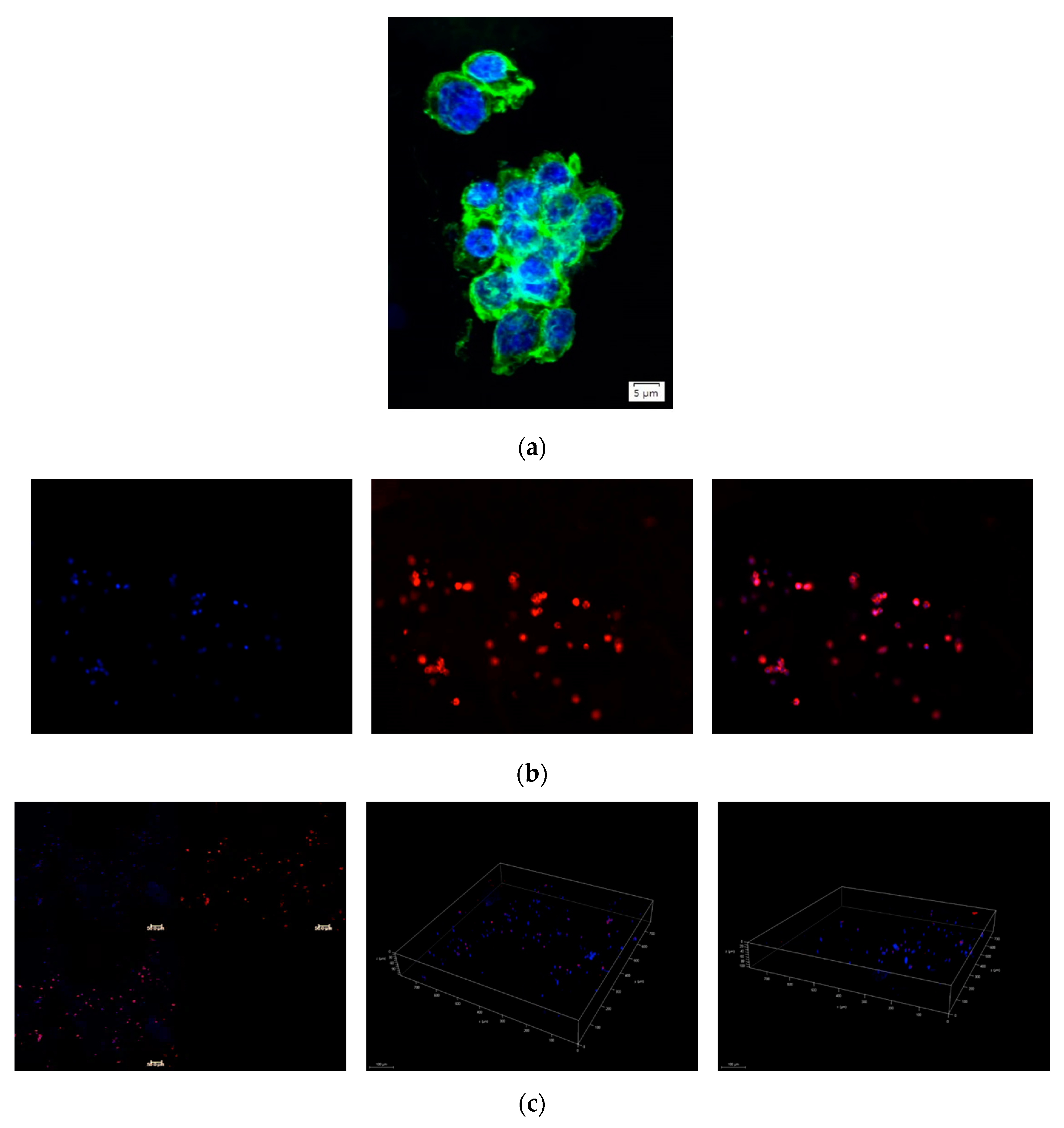 Applsci 10 06550 g006 Applsci 10 06550 g006